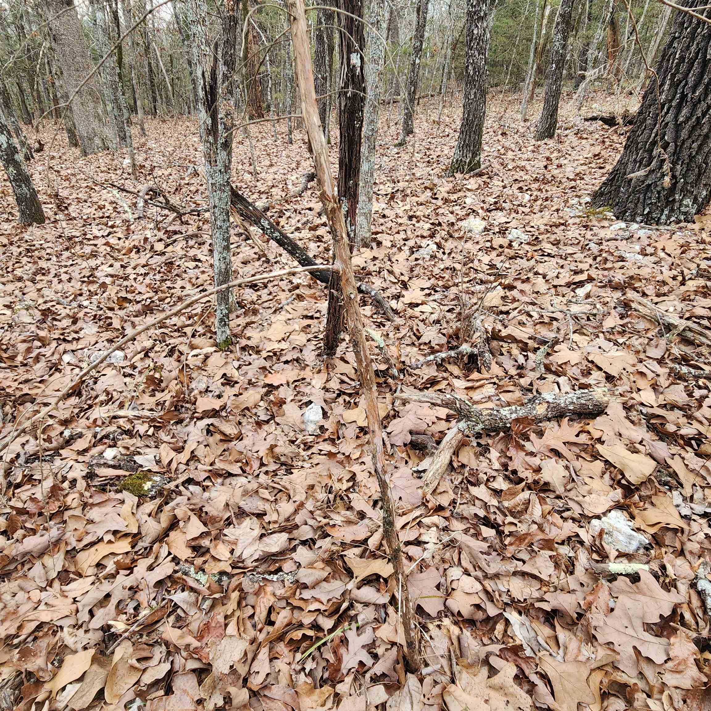L-8, B-3 Kee Trail Property Photo 19