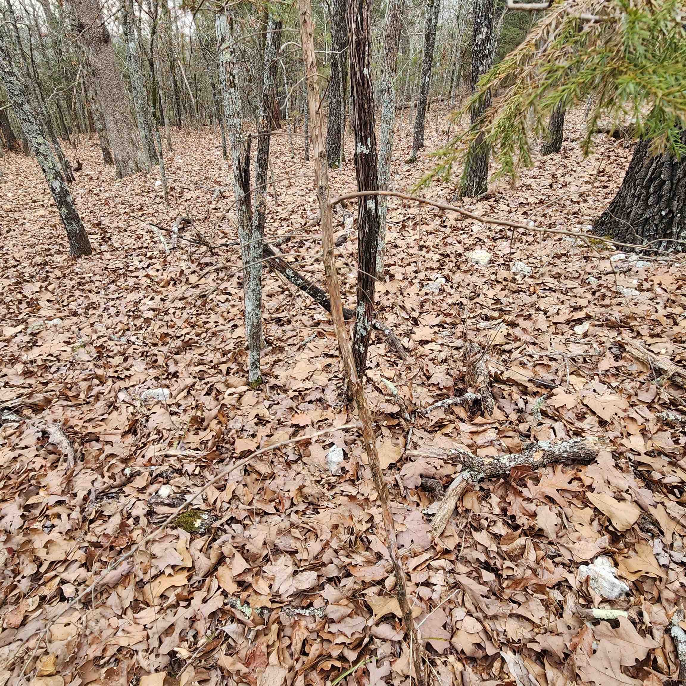 L-8, B-3 Kee Trail Property Photo 20