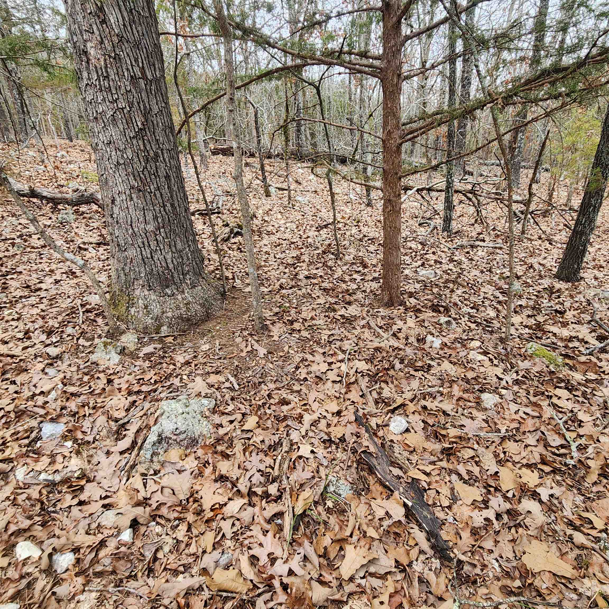 L-8, B-3 Kee Trail Property Photo 21
