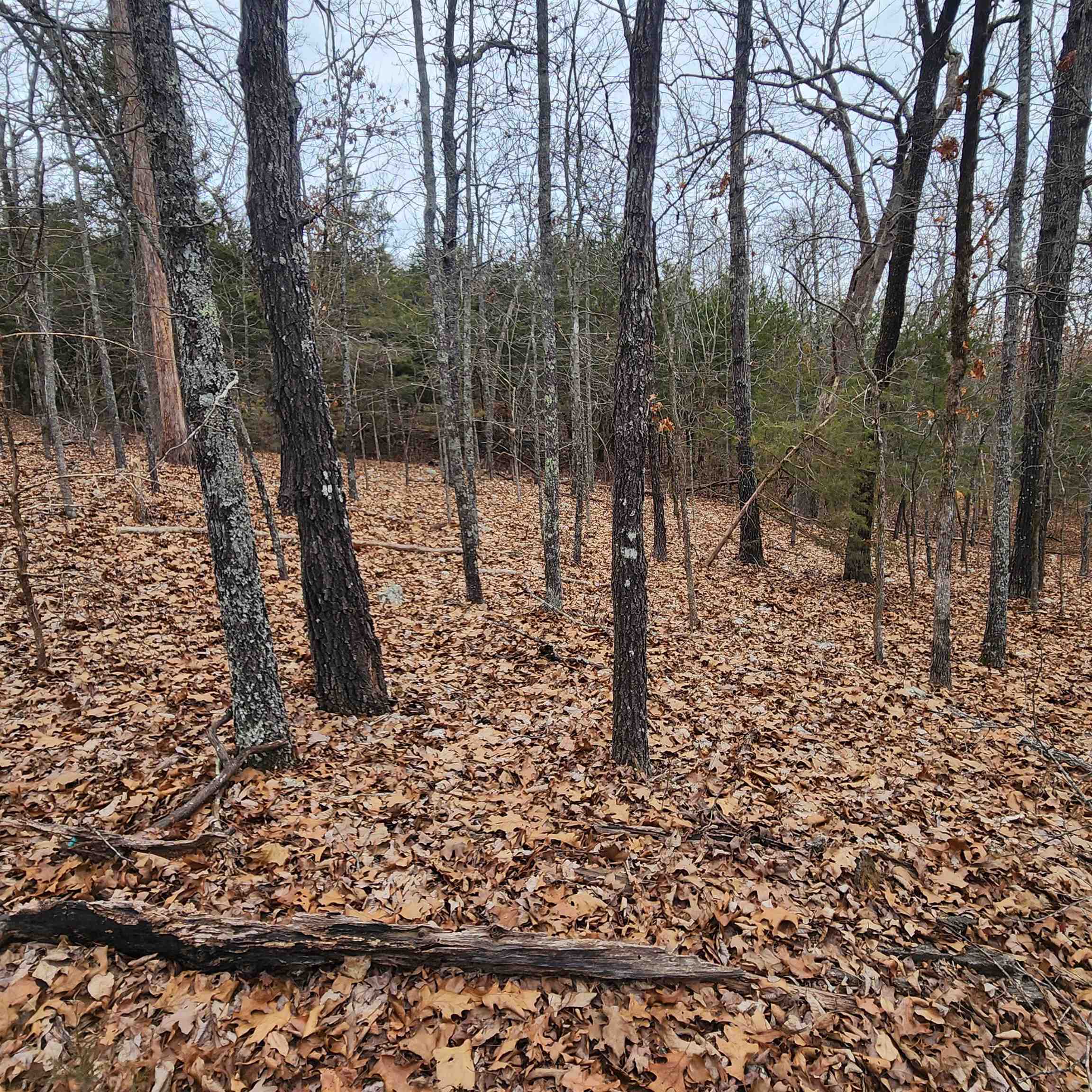 L-8, B-3 Kee Trail Property Photo 22