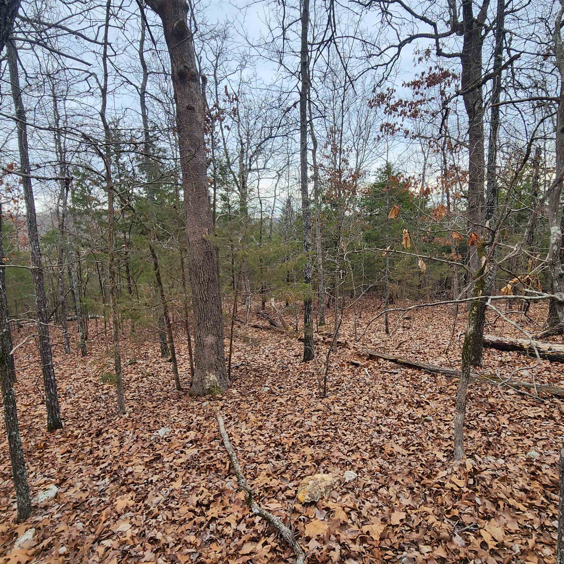 L-8, B-3 Kee Trail Property Photo 23