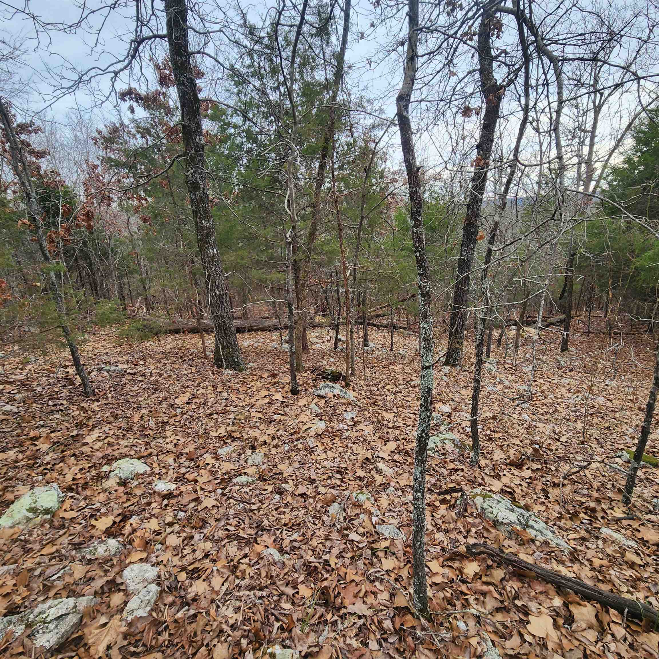 L-8, B-3 Kee Trail Property Photo 24