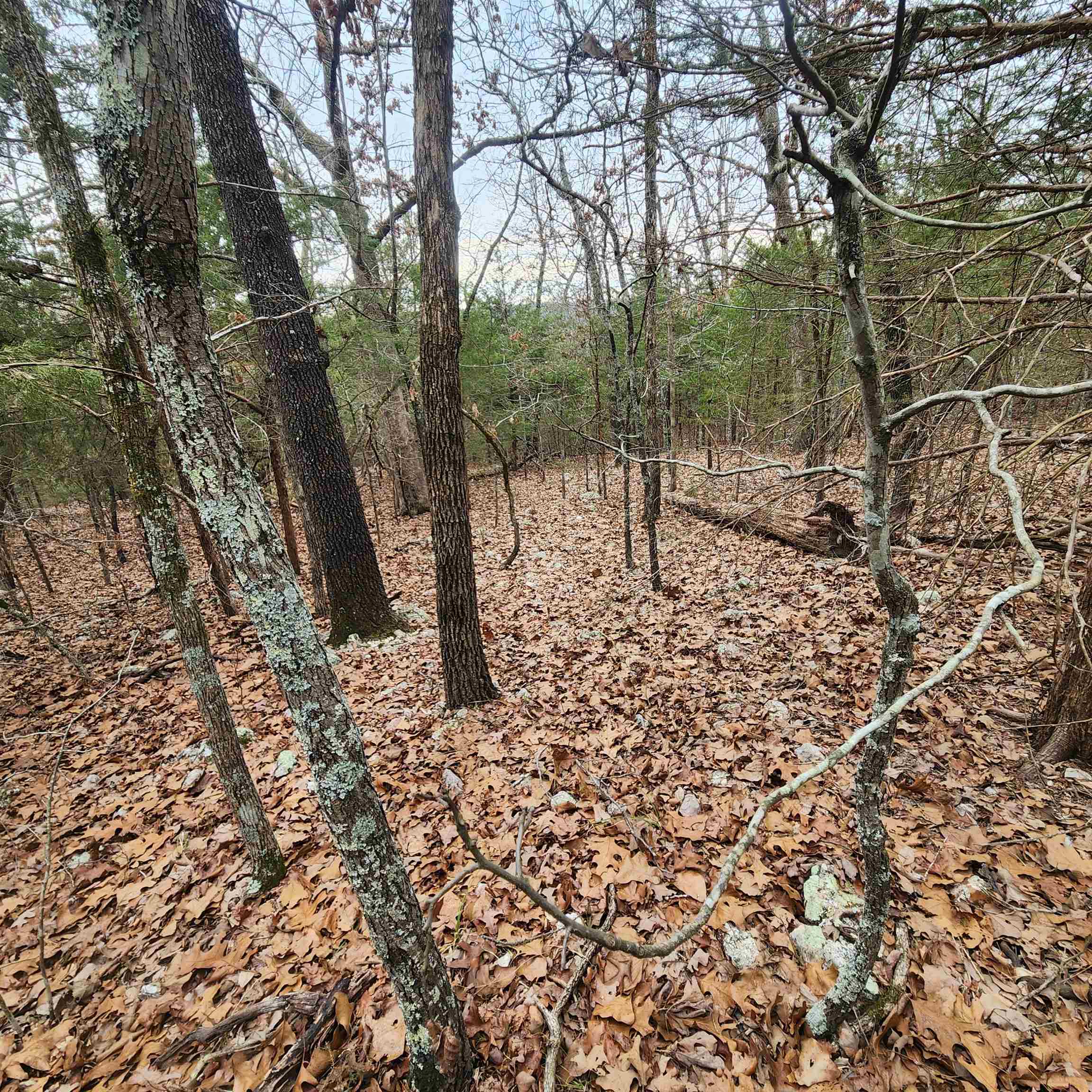 L-8, B-3 Kee Trail Property Photo 26