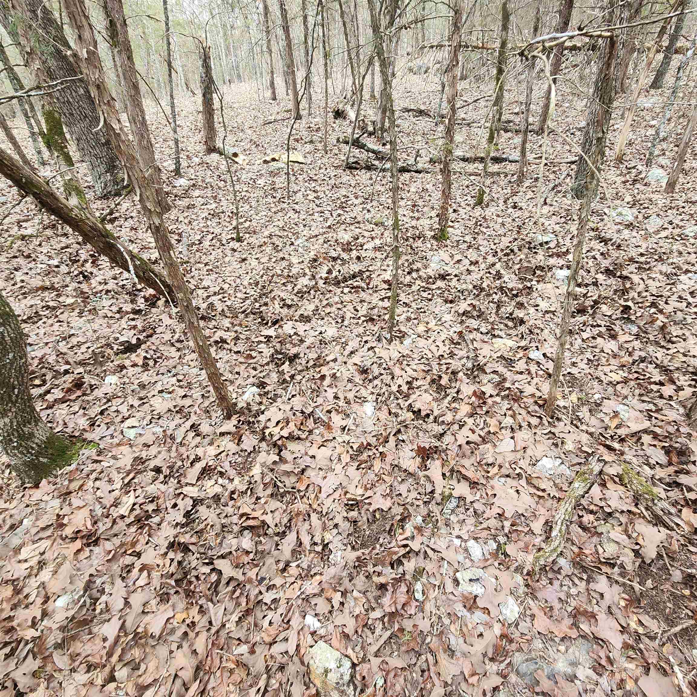 L-8, B-3 Kee Trail Property Photo 27