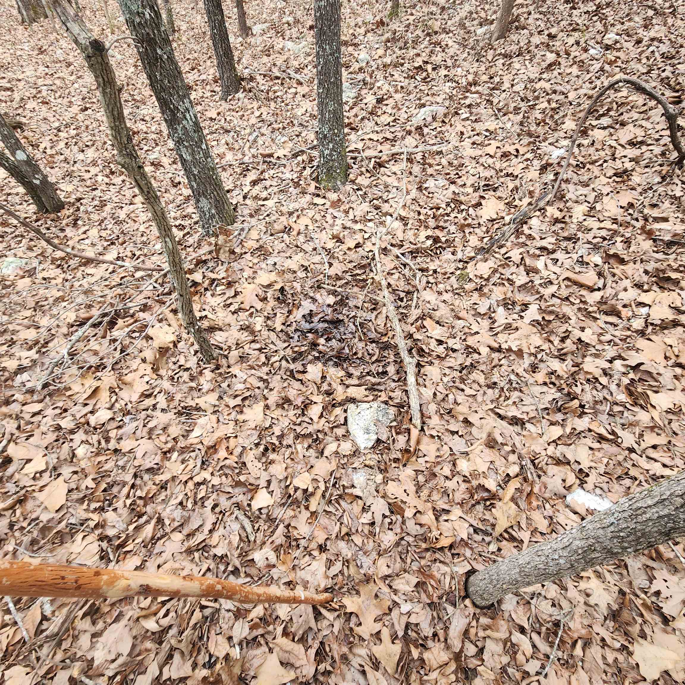 L-8, B-3 Kee Trail Property Photo 28