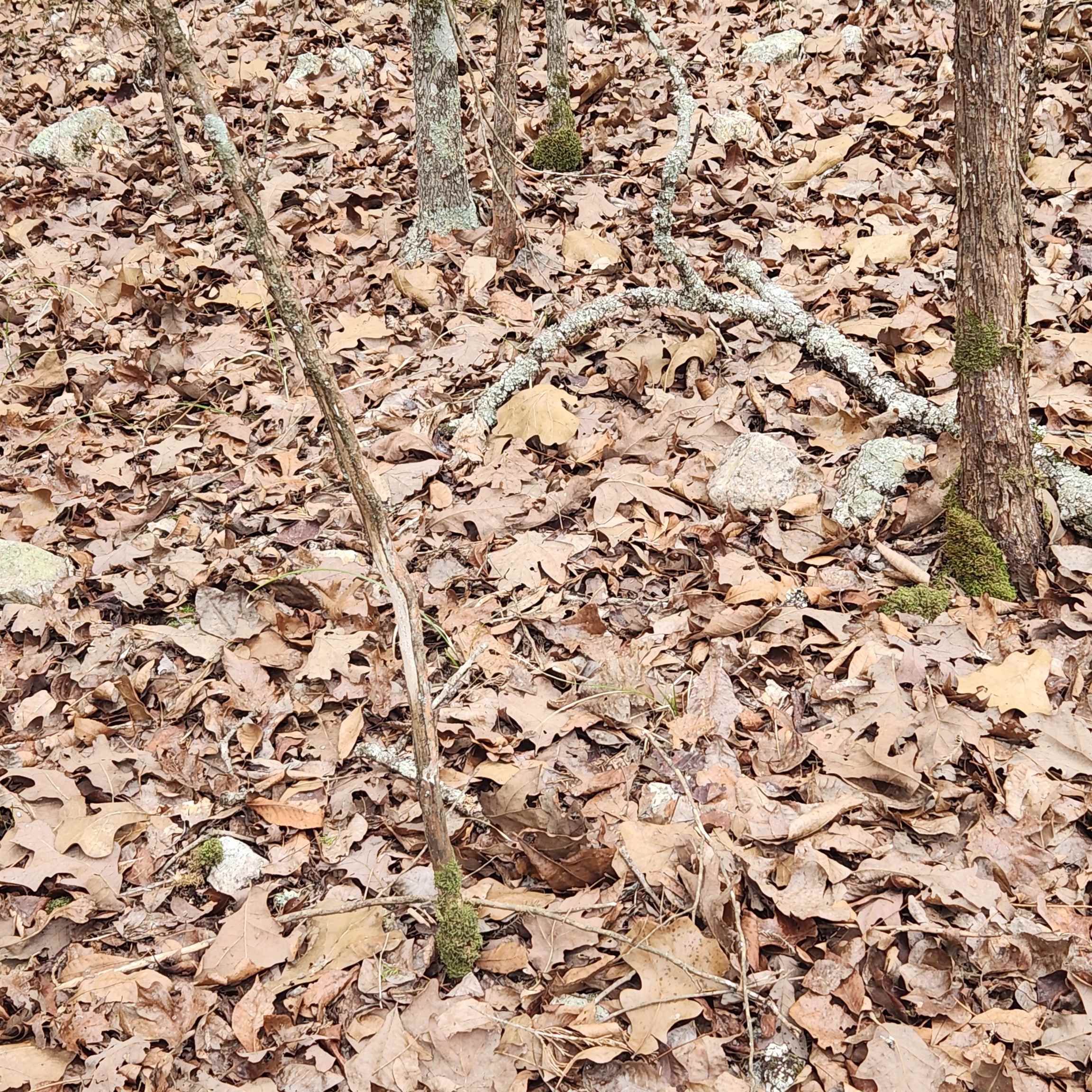 L-8, B-3 Kee Trail Property Photo 29