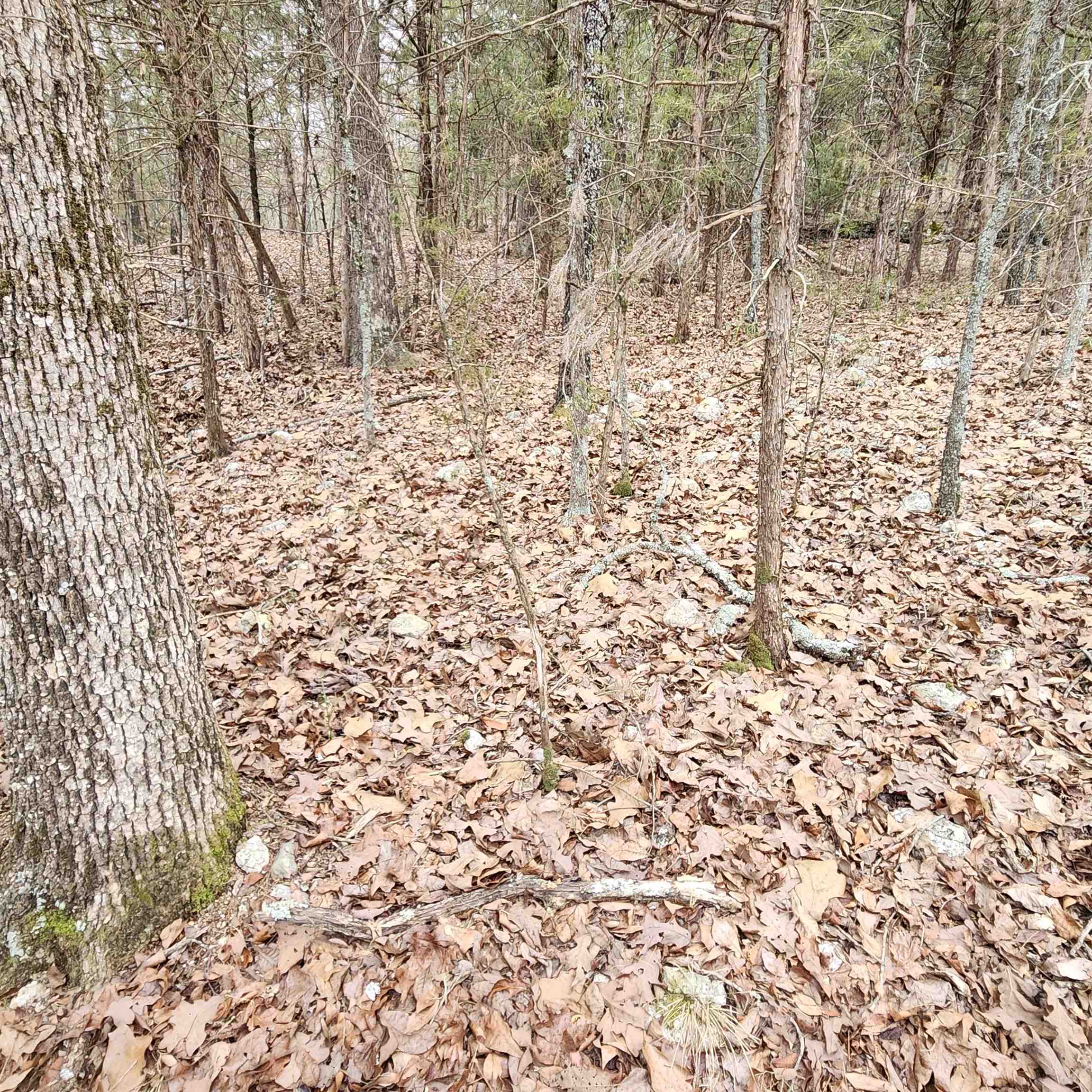 L-8, B-3 Kee Trail Property Photo 30