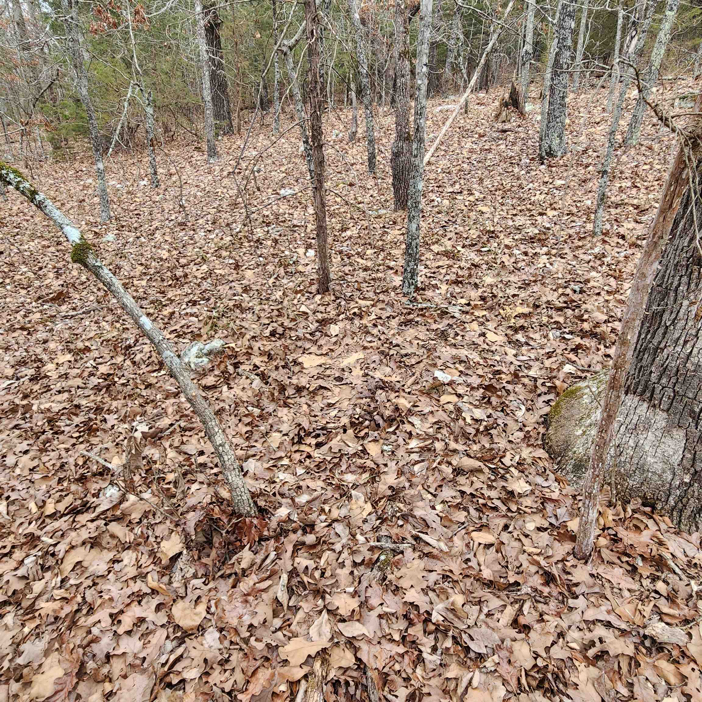 L-8, B-3 Kee Trail Property Photo 31
