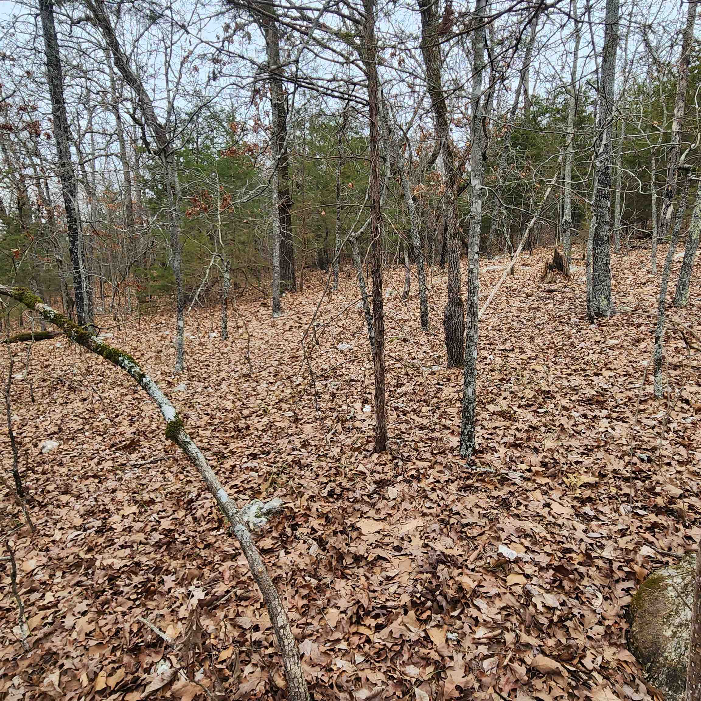L-8, B-3 Kee Trail Property Photo 32