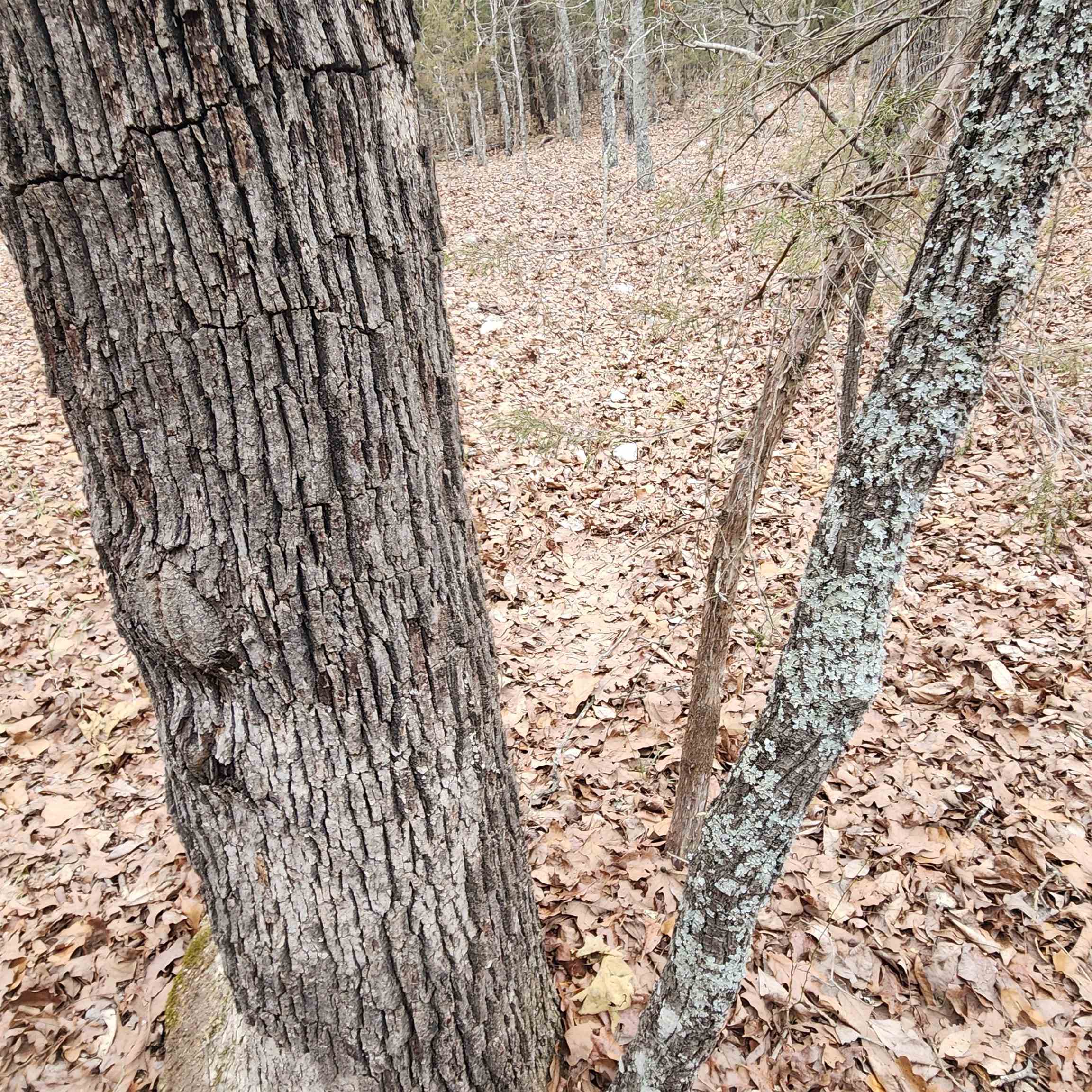 L-8, B-3 Kee Trail Property Photo 33