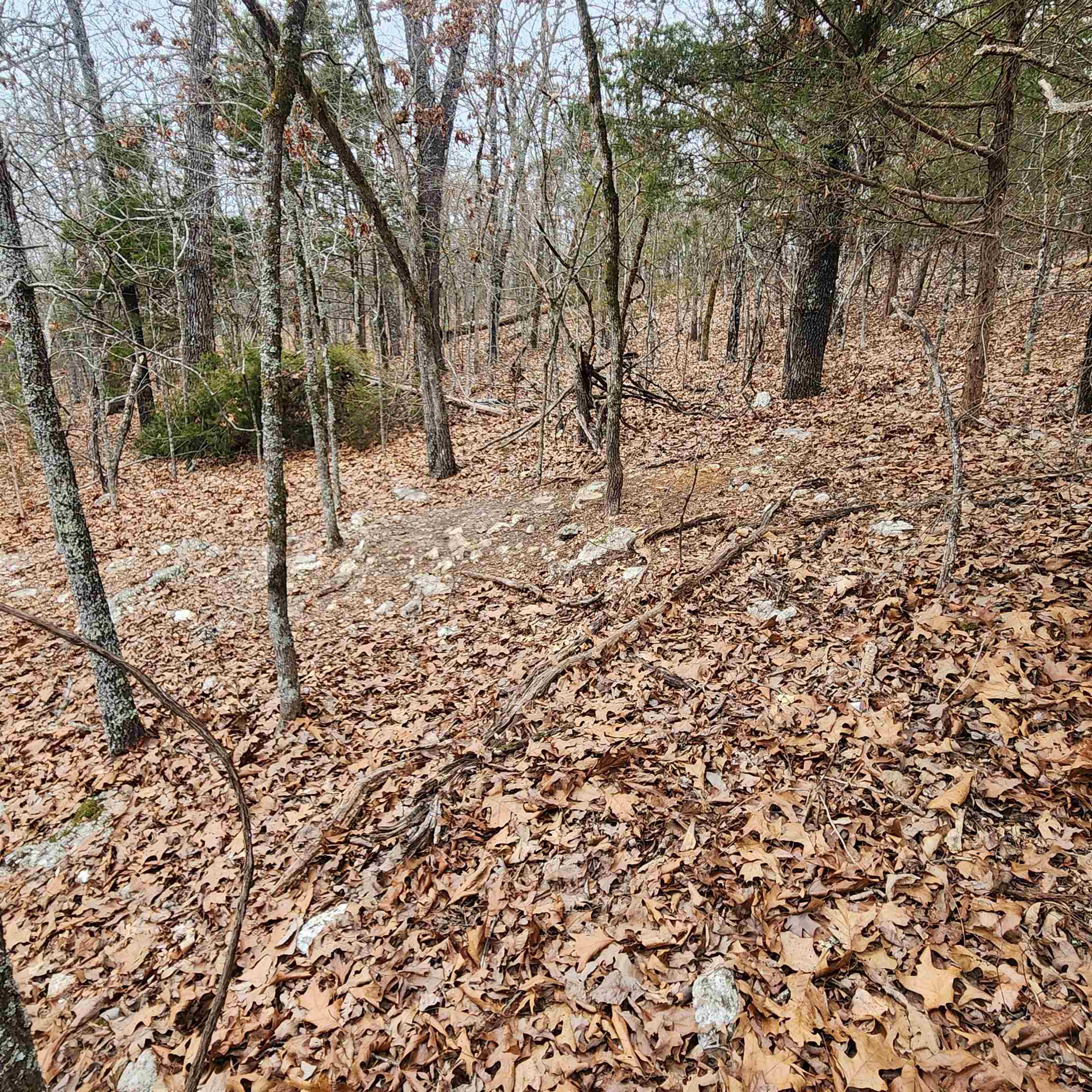L-8, B-3 Kee Trail Property Photo 34