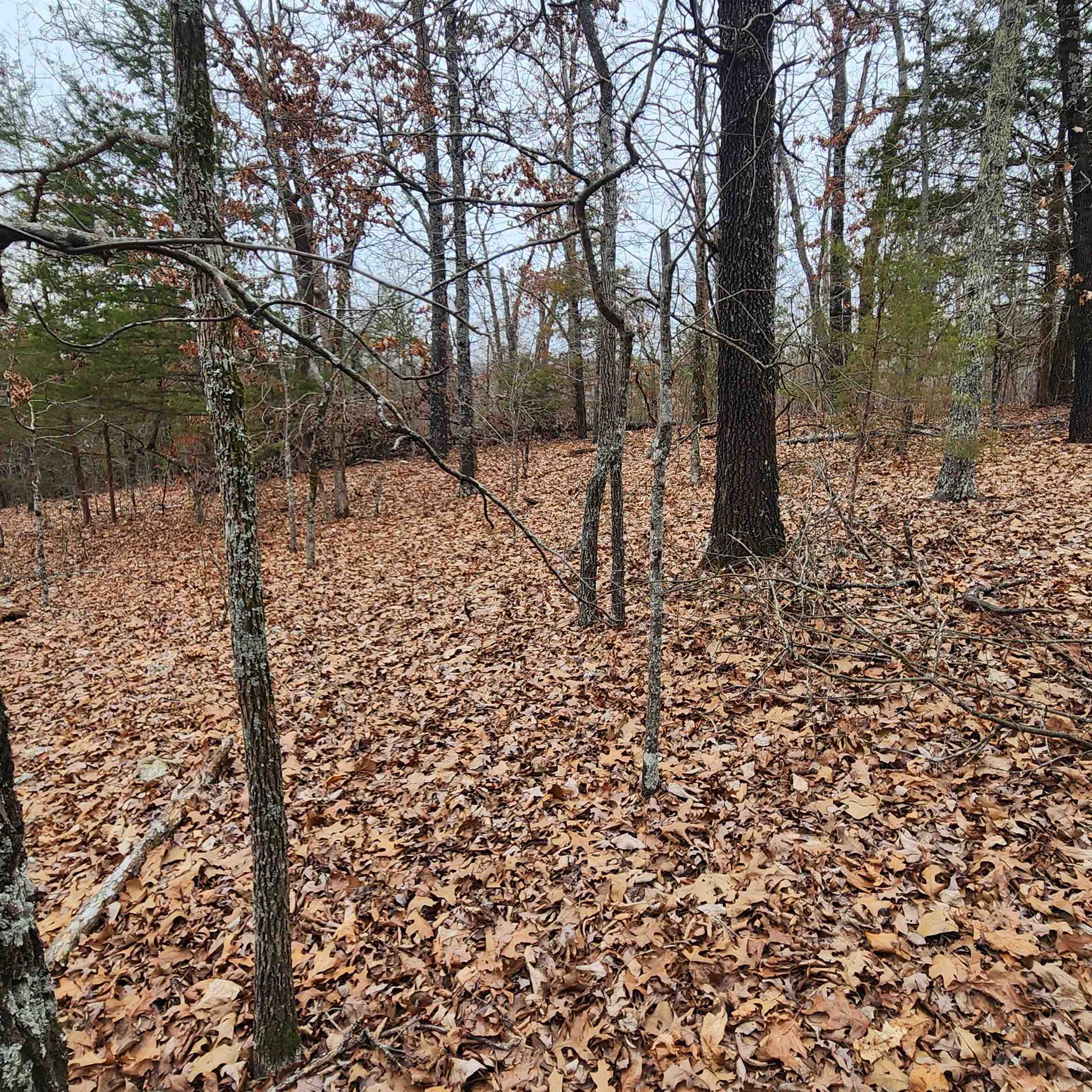 L-8, B-3 Kee Trail Property Photo 35