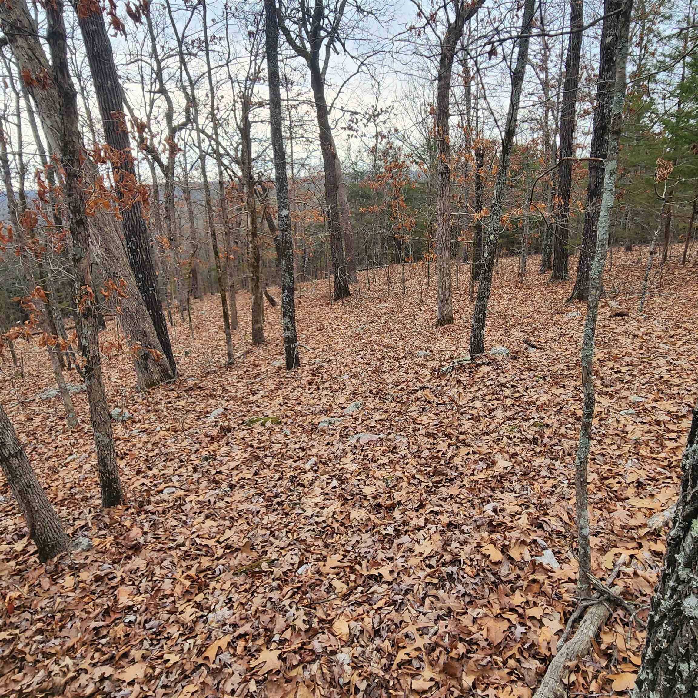 L-8, B-3 Kee Trail Property Photo 36