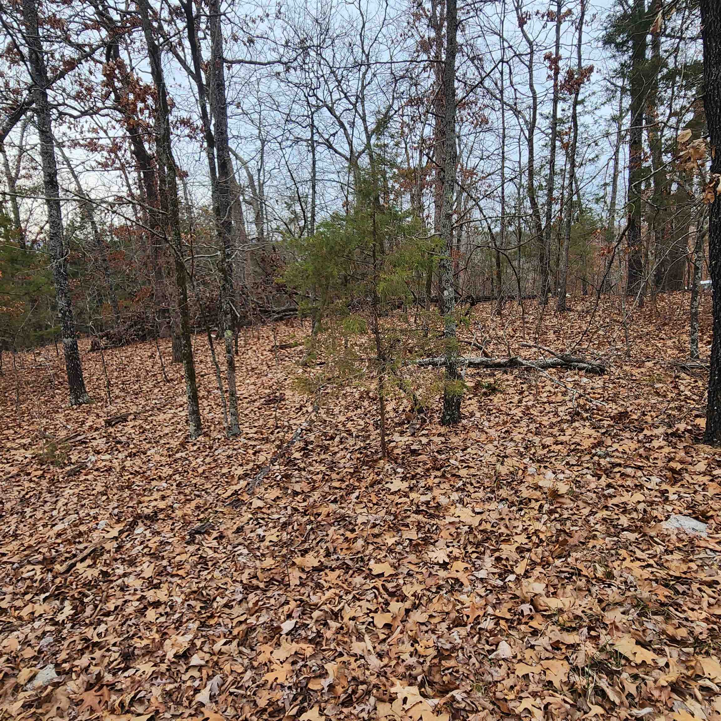 L-8, B-3 Kee Trail Property Photo 38
