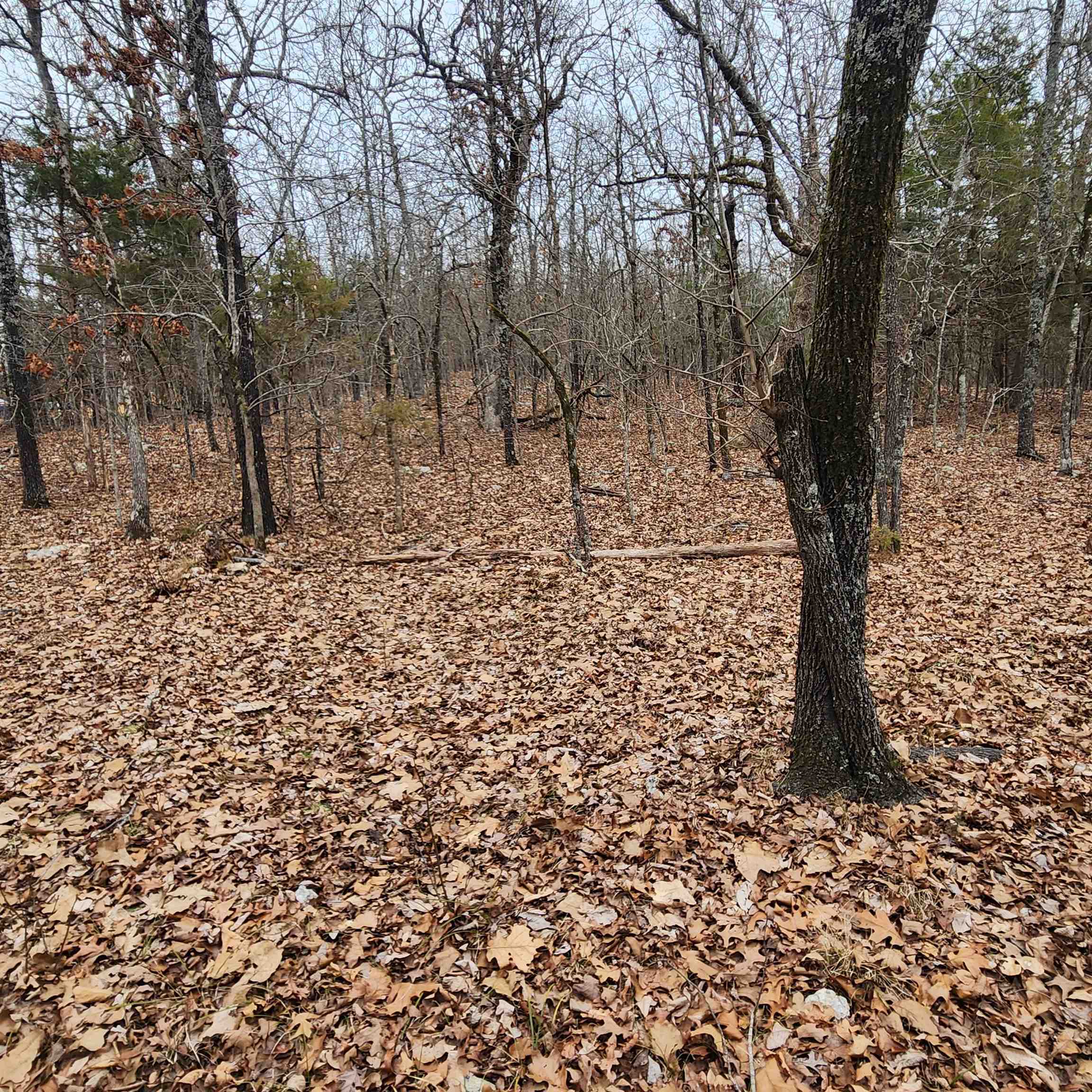L-8, B-3 Kee Trail Property Photo 39