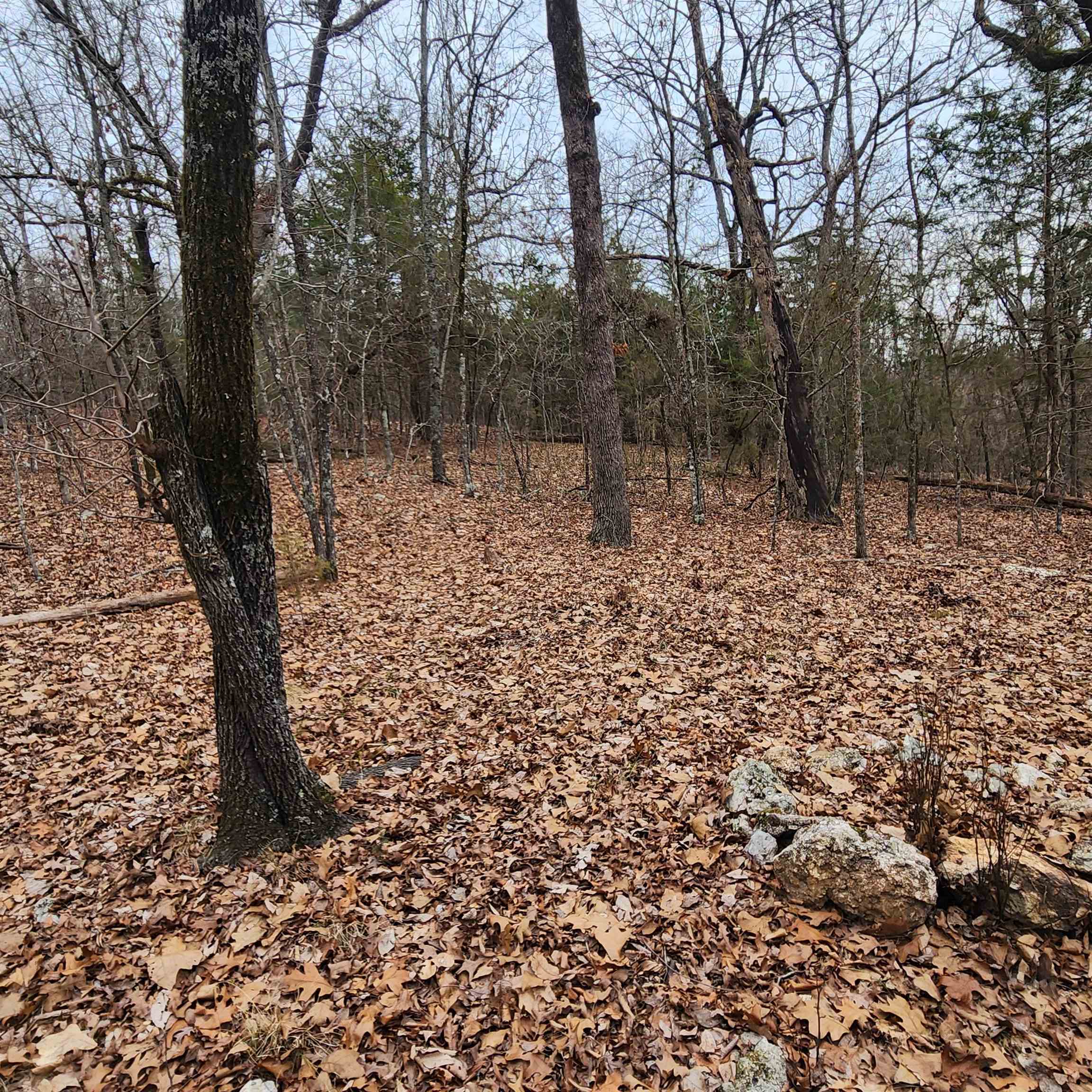 L-8, B-3 Kee Trail Property Photo 40