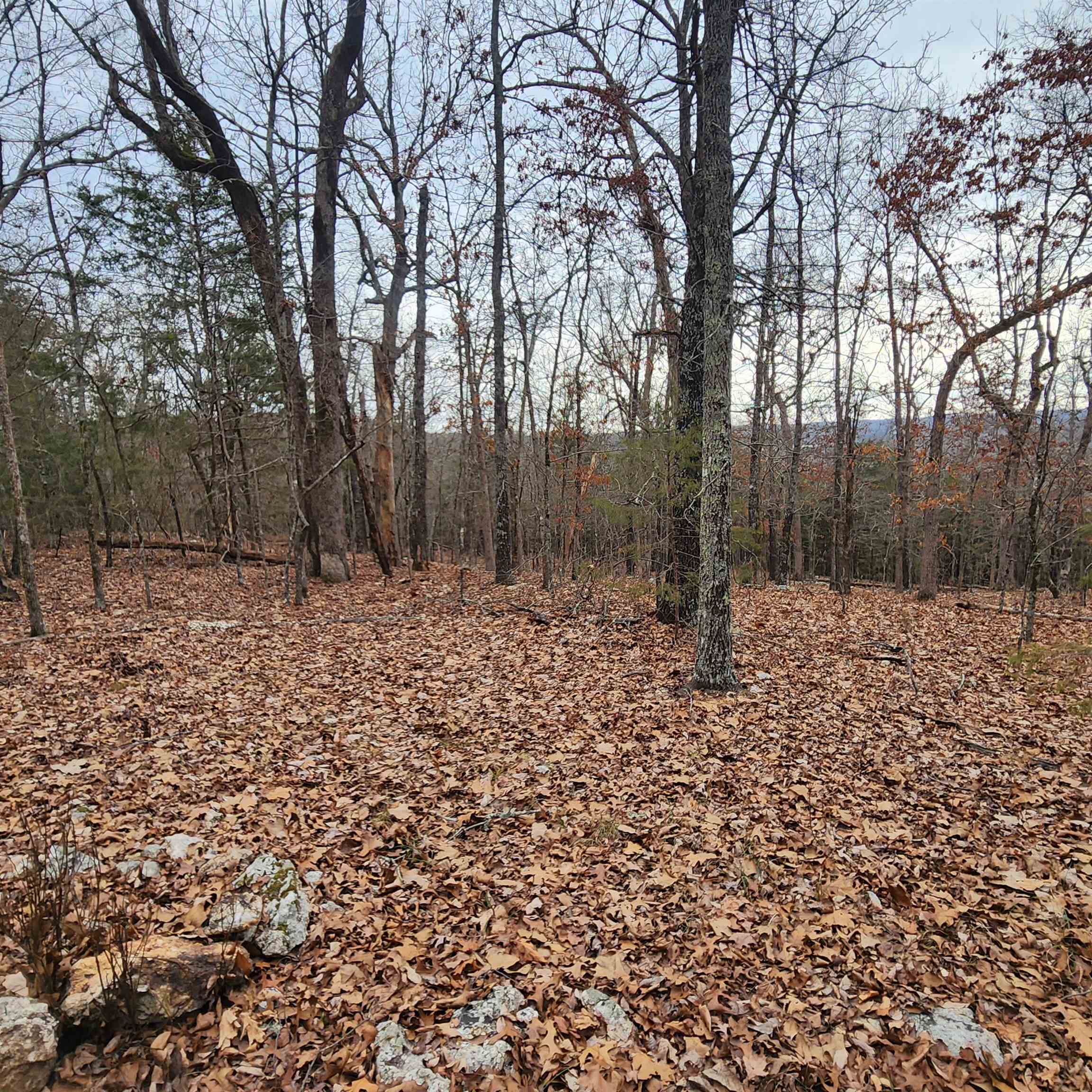 L-8, B-3 Kee Trail Property Photo 41
