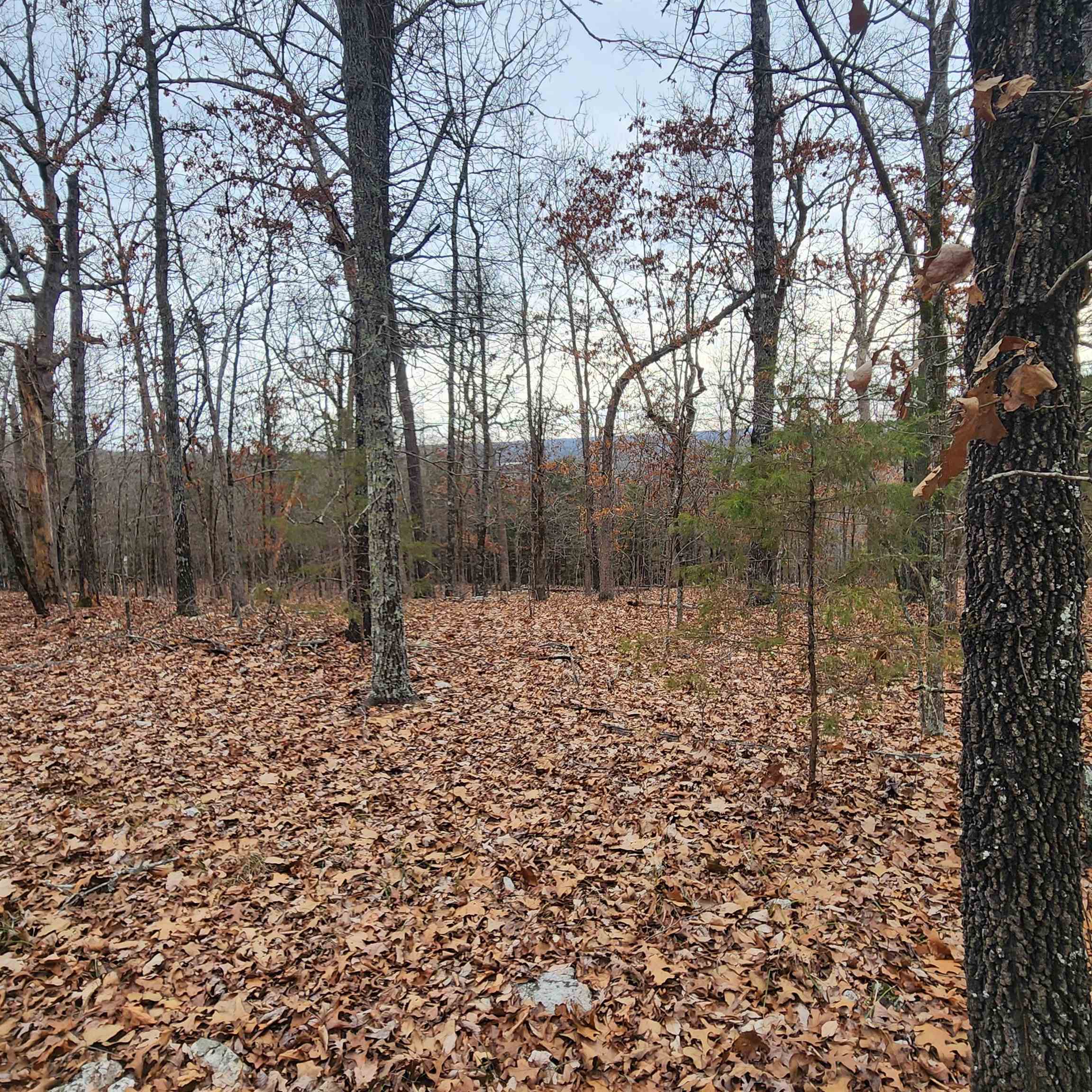 L-8, B-3 Kee Trail Property Photo 42