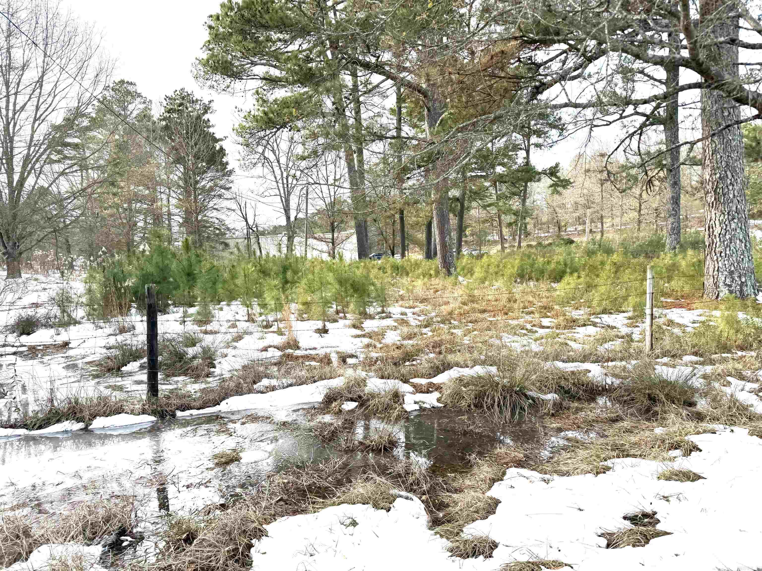 X Pearcy Rd Property Photo 3