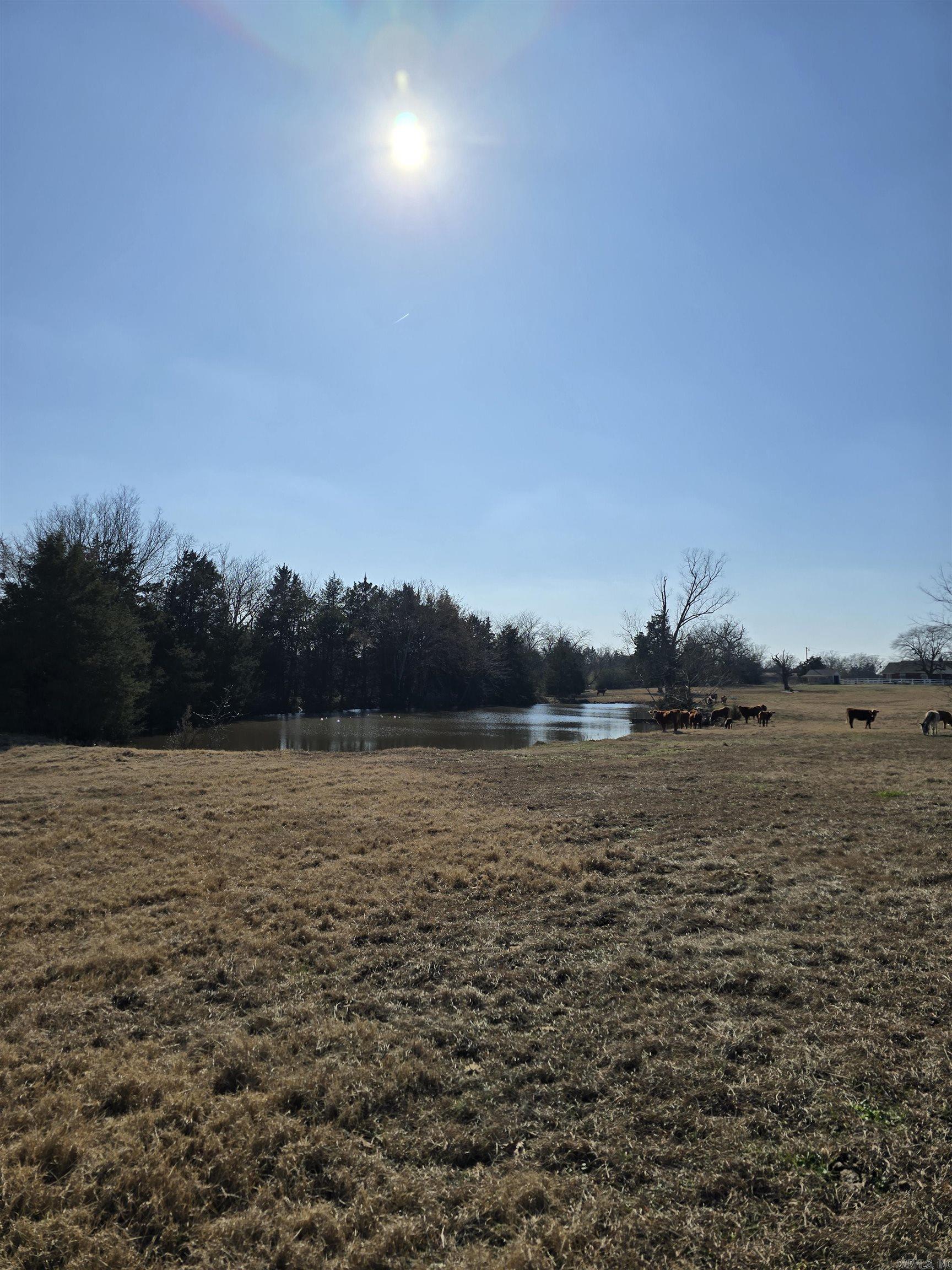 825, 909 Heber Springs Road Highway Property Photo 6