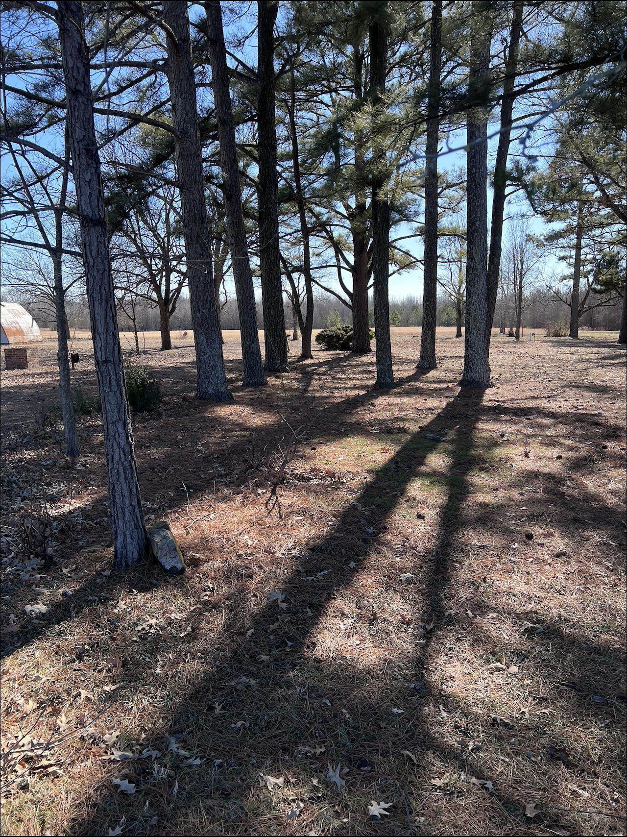 303 Daybreak Property Photo 1