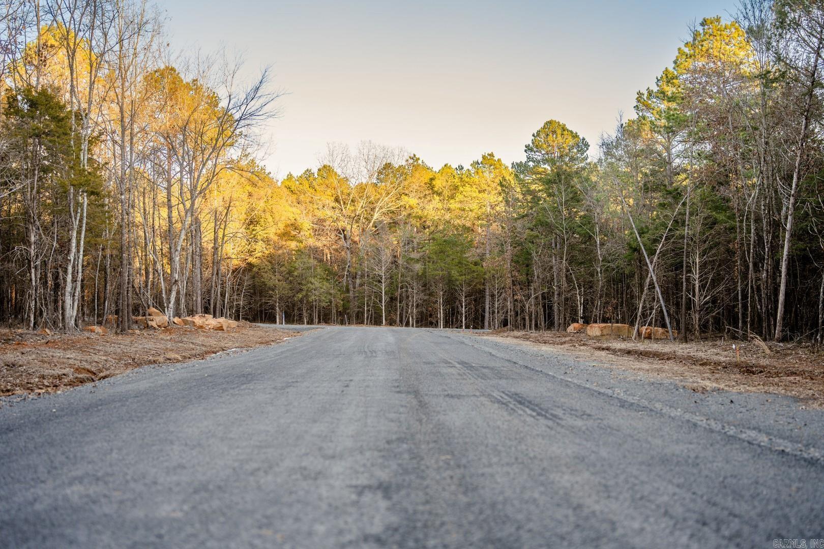 Lot 21 Vida Del Lago Subdivision Property Photo 4