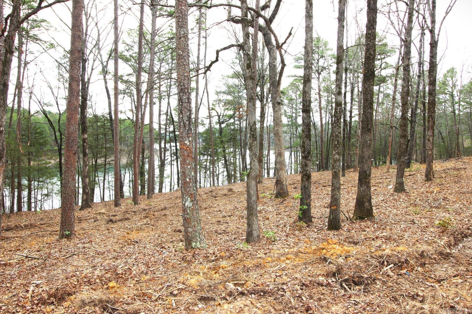 Lot 8 Vida Del Lago Subdivision Property Photo 4