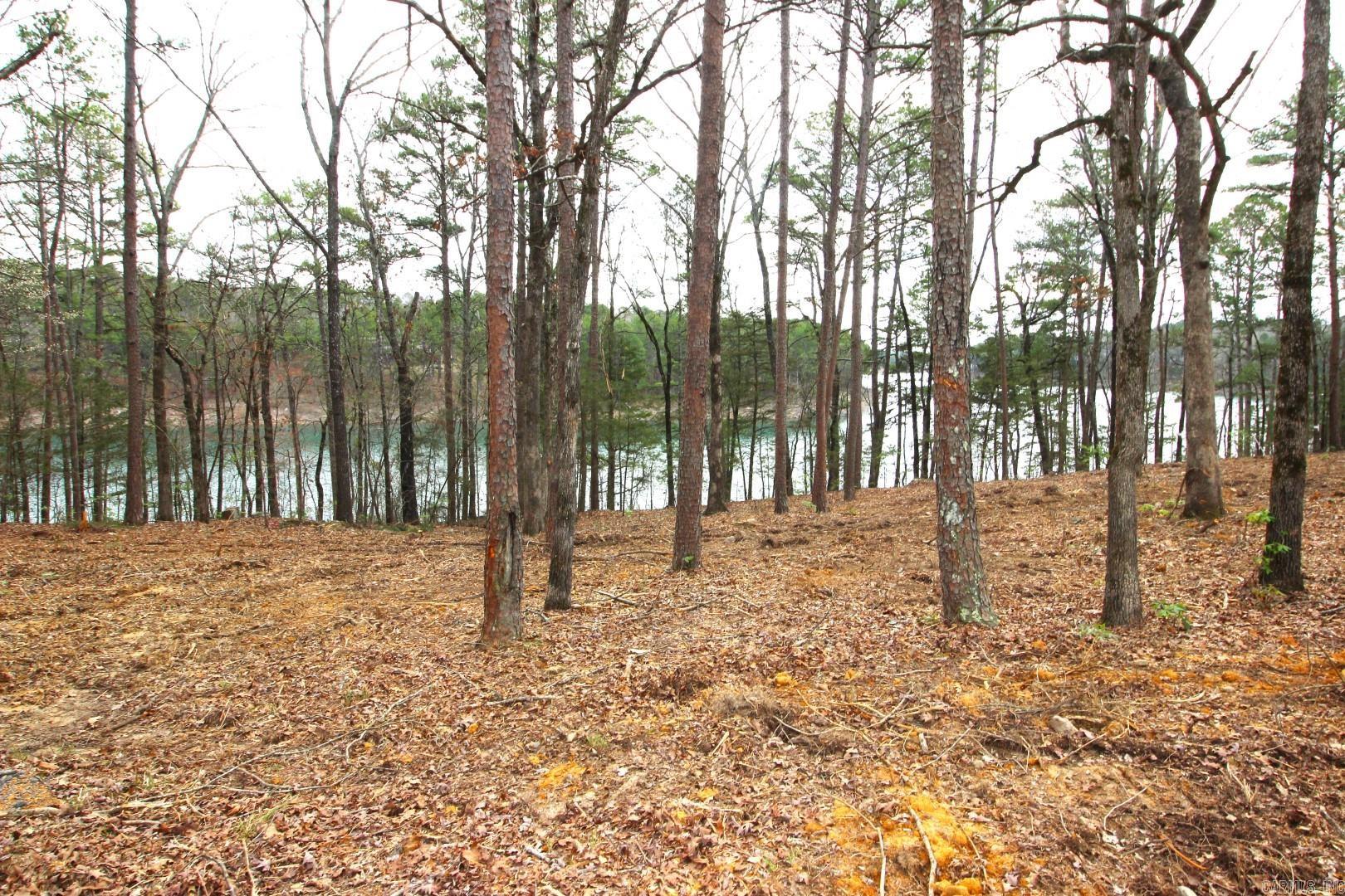 Lot 8 Vida Del Lago Subdivision Property Photo 34