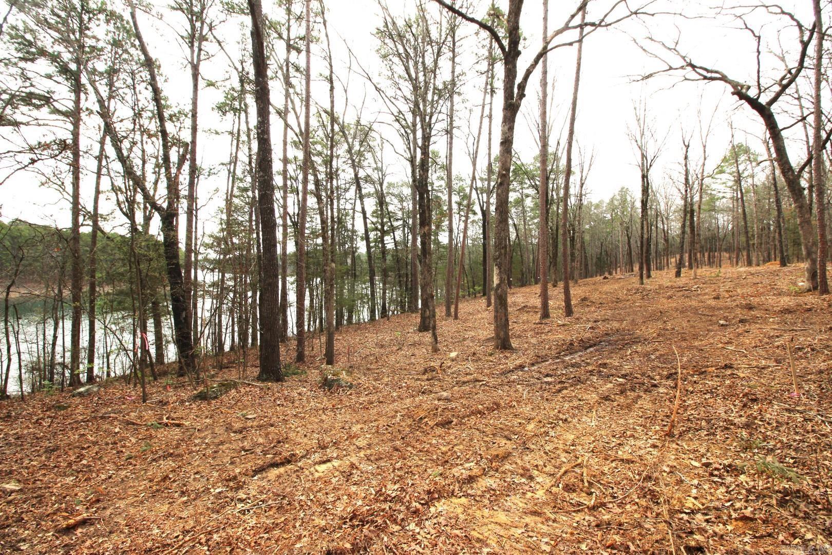 Lot 8 Vida Del Lago Subdivision Property Photo 35