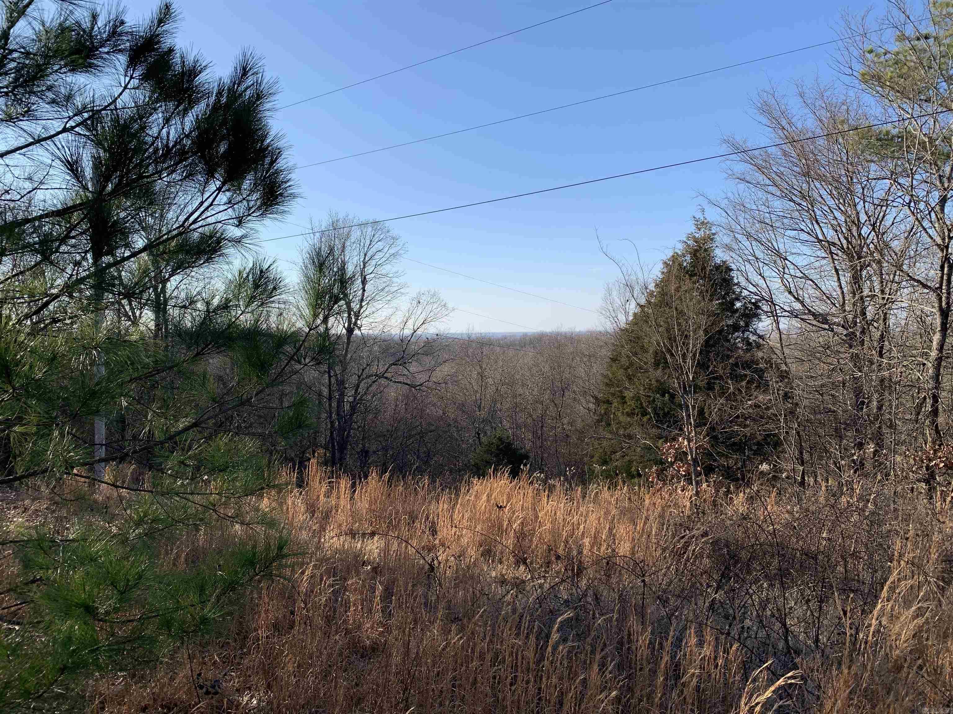 2 Cr 449 Property Photo 6