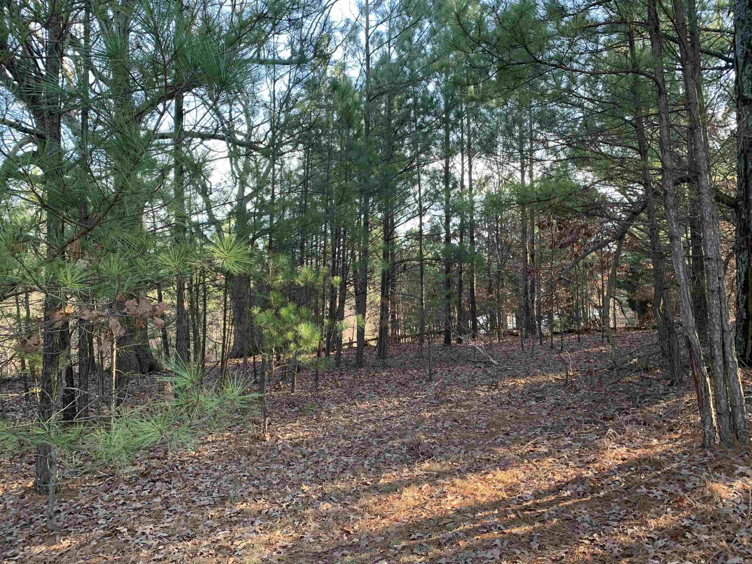 2 Cr 449 Property Photo 7
