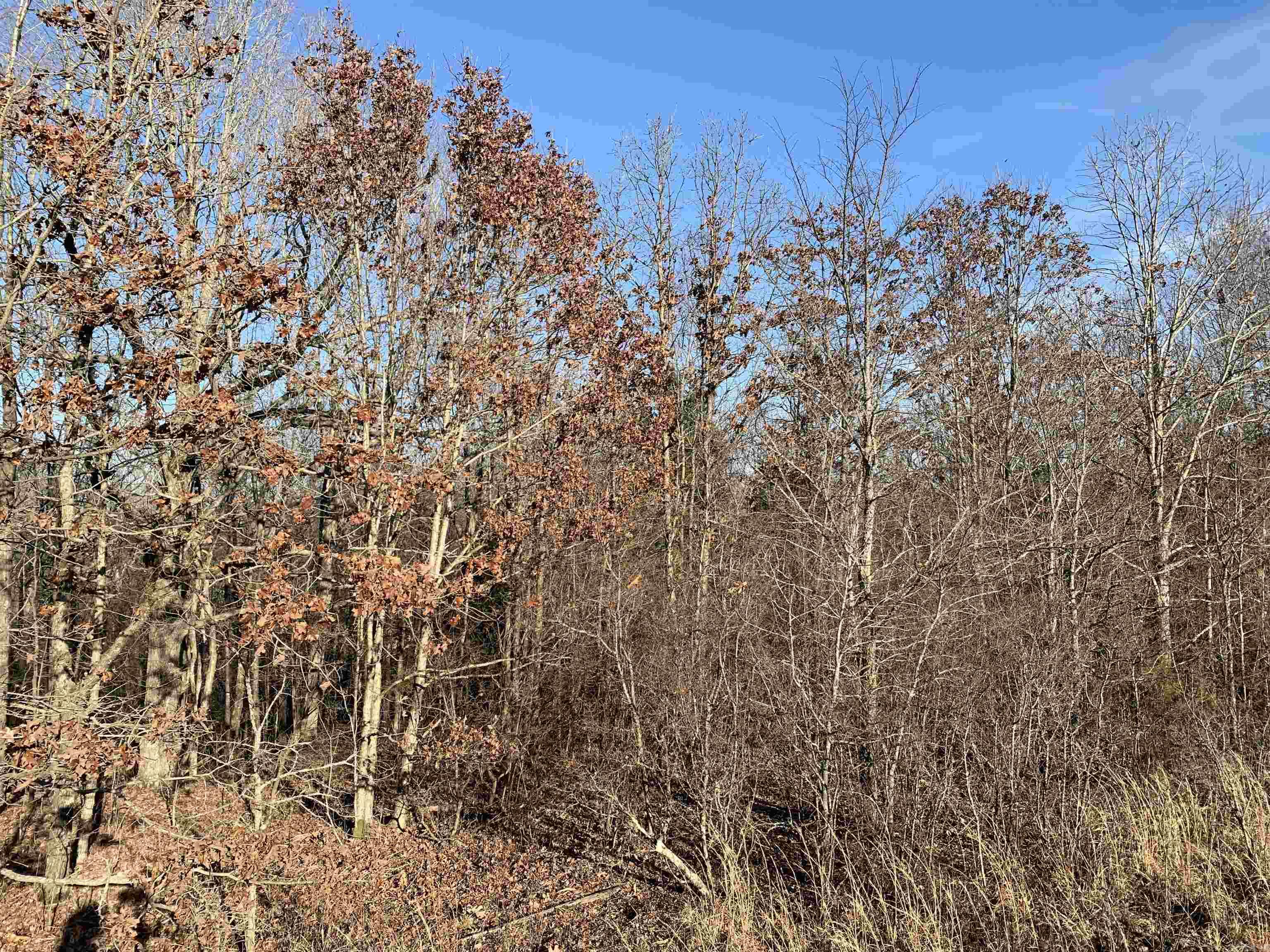 2 Cr 449 Property Photo 8