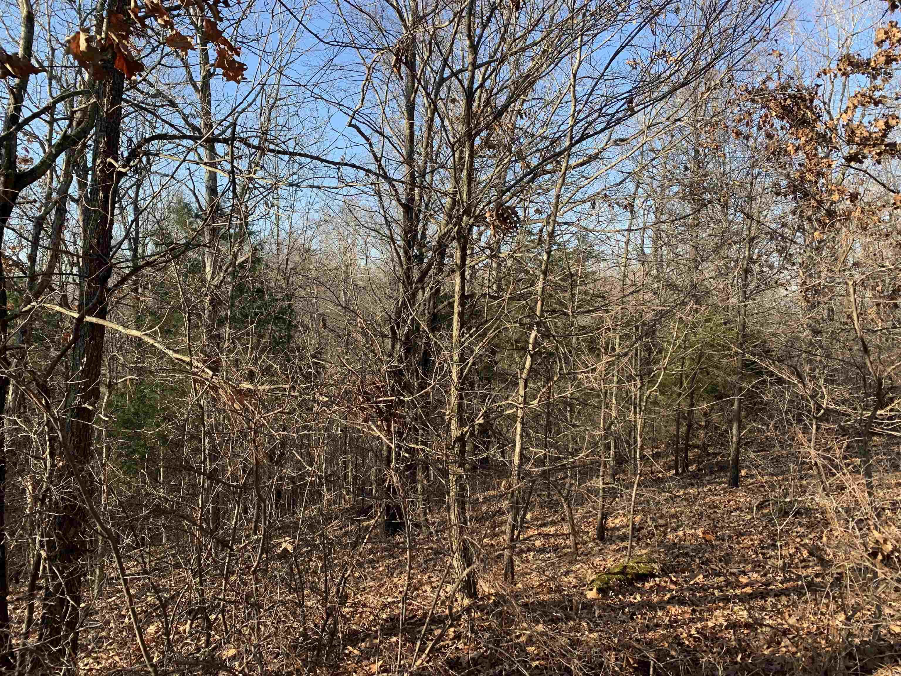 2 Cr 449 Property Photo 9