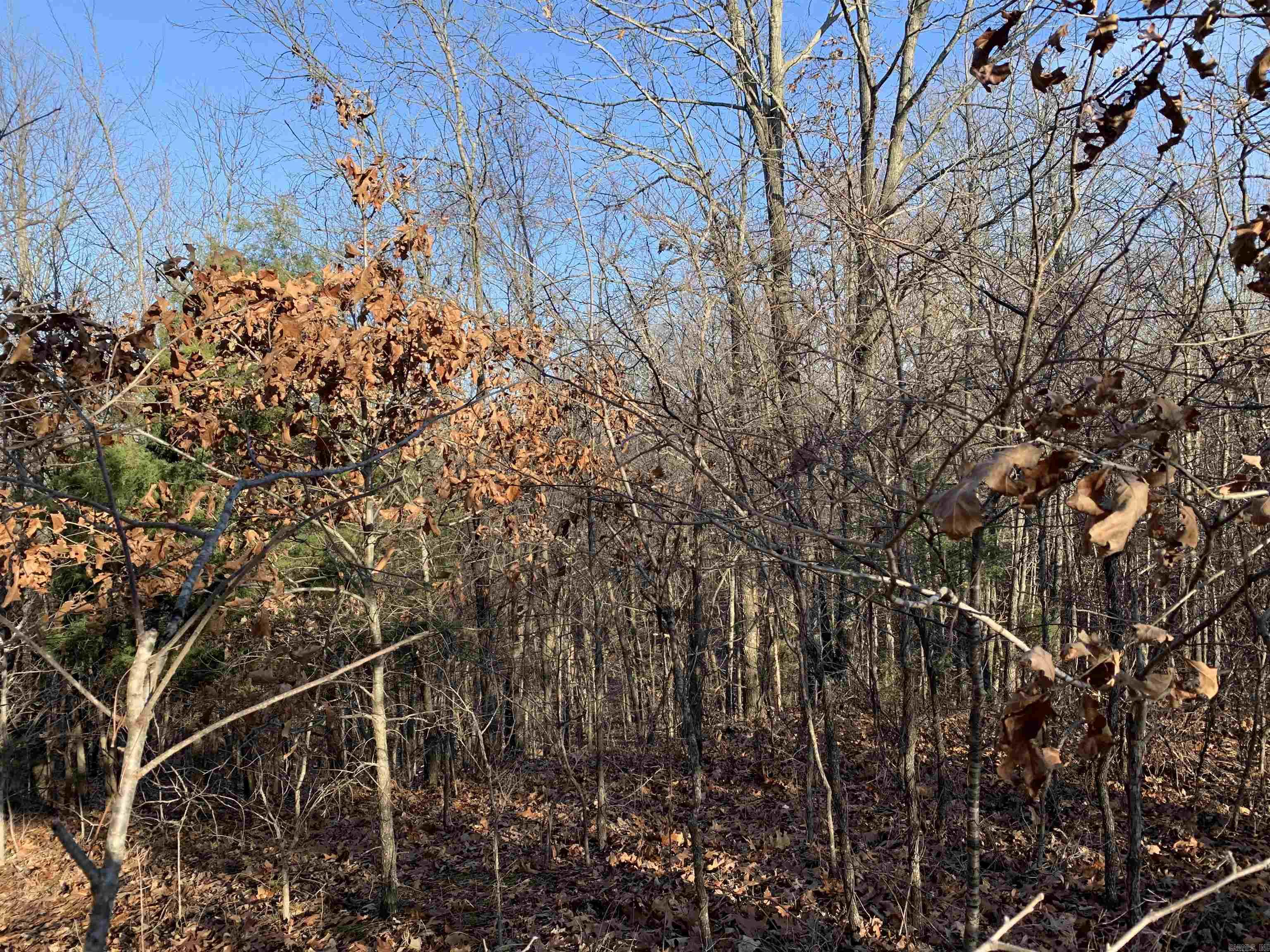 2 Cr 449 Property Photo 10