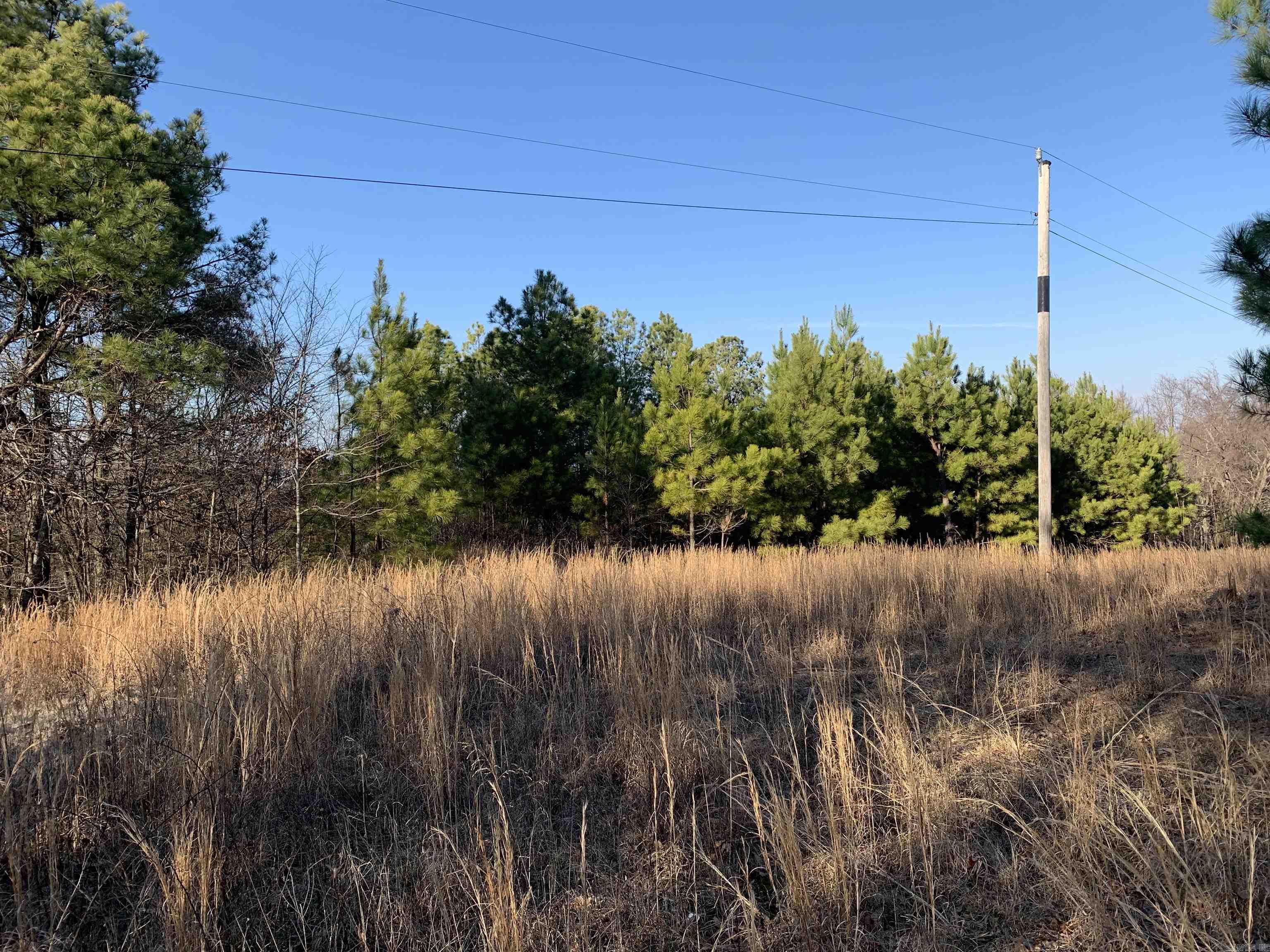 2 Cr 449 Property Photo 11