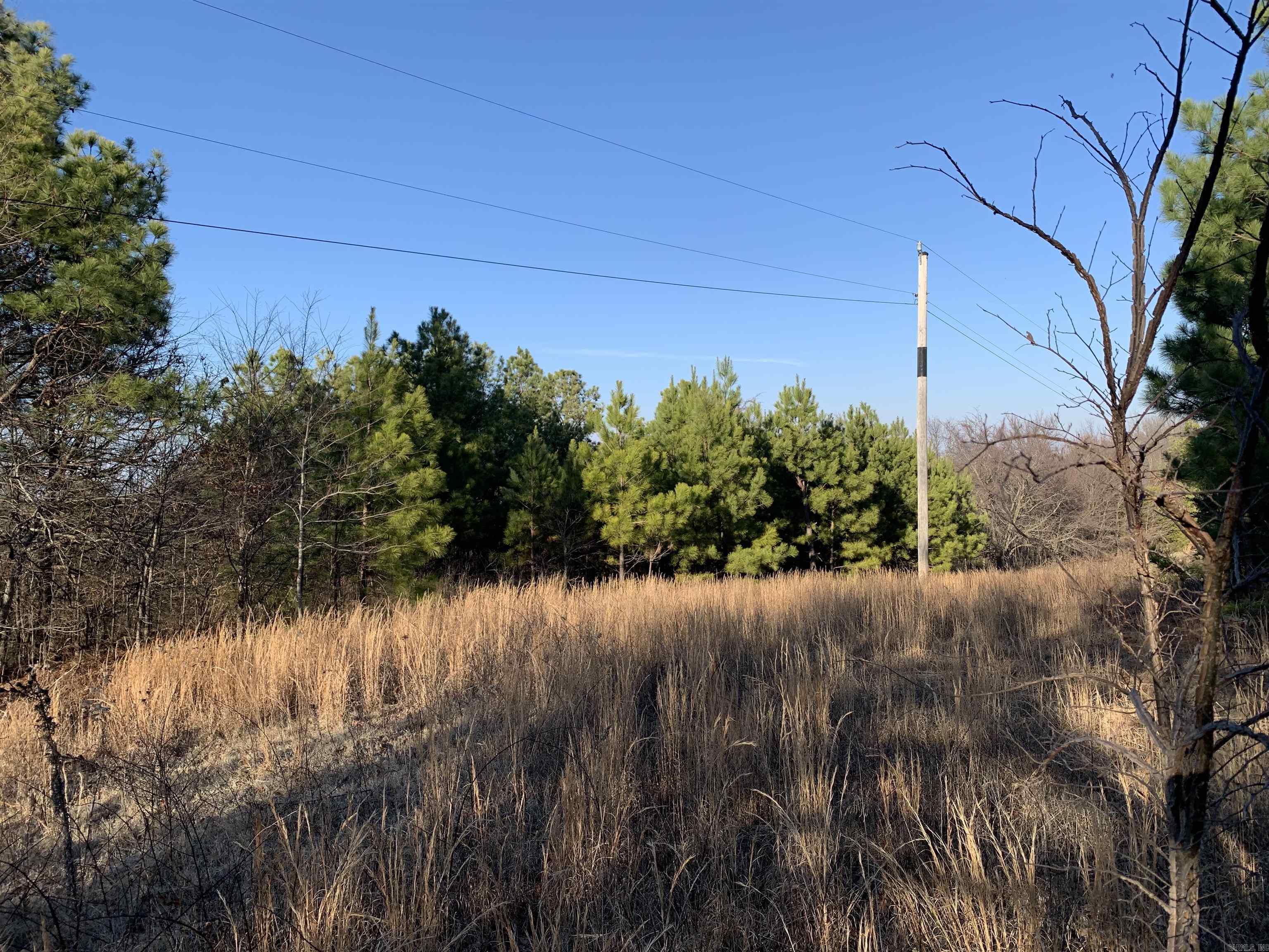 2 Cr 449 Property Photo 12