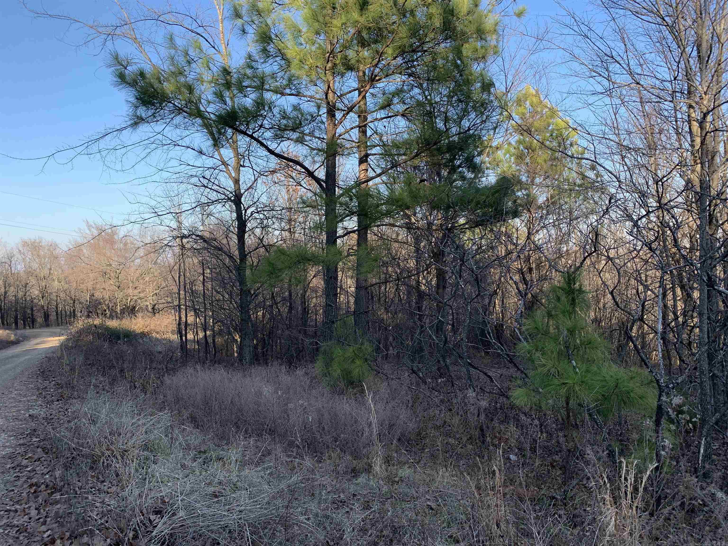 2 Cr 449 Property Photo 15