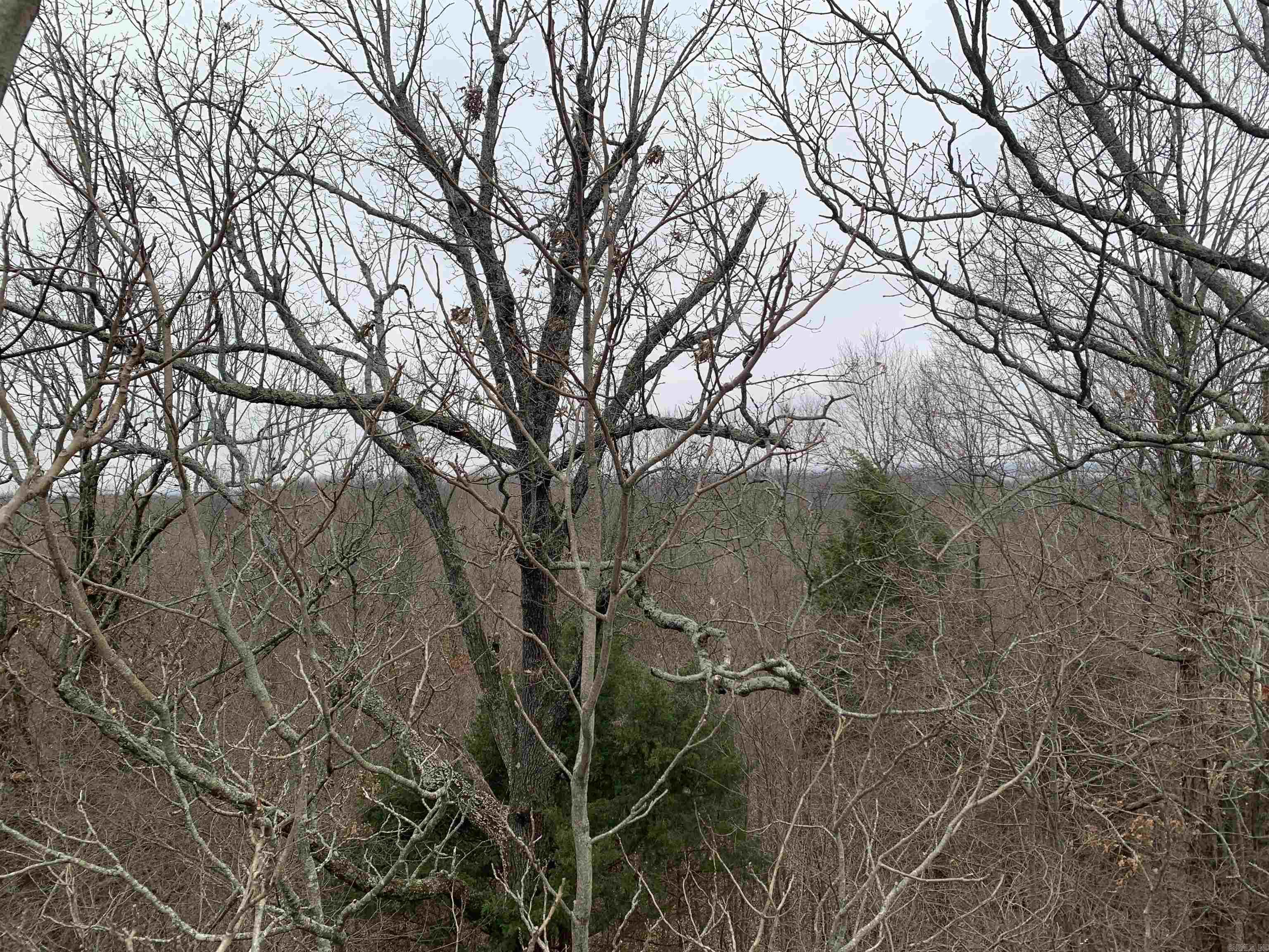 2 Cr 449 Property Photo 21