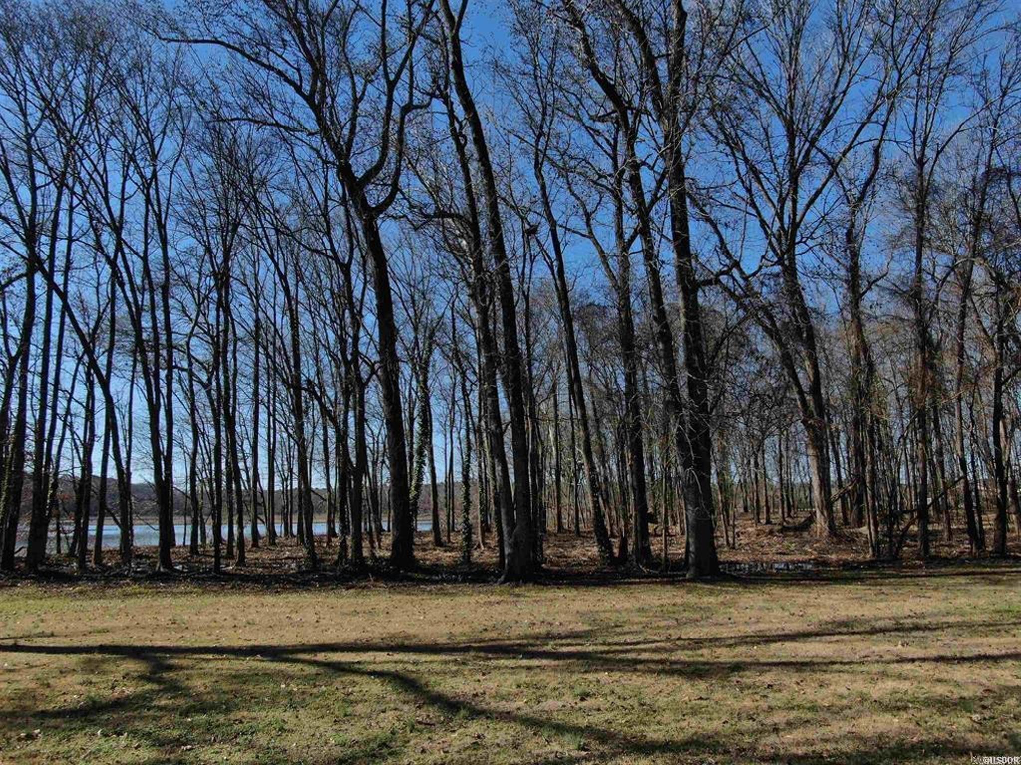 Xxx Rivermist Point Property Photo 4