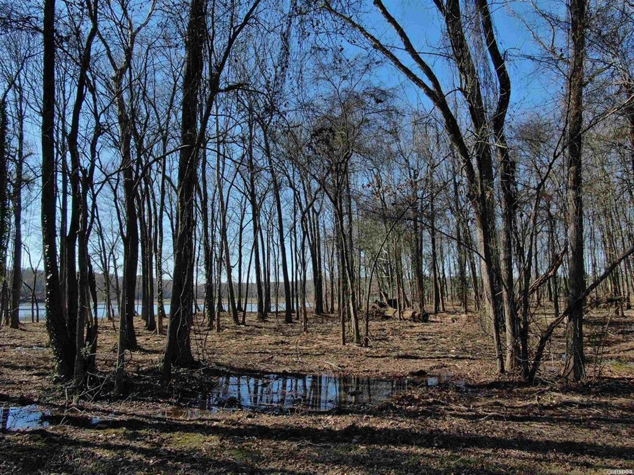 Xxx Rivermist Point Property Photo 5