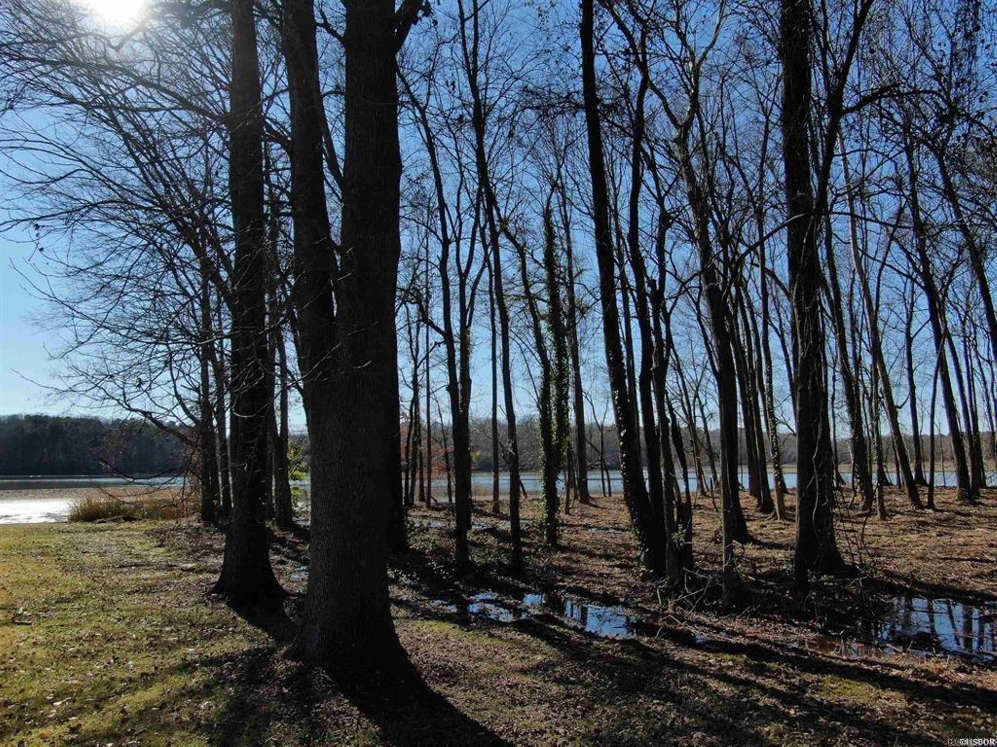 Xxx Rivermist Point Property Photo 6