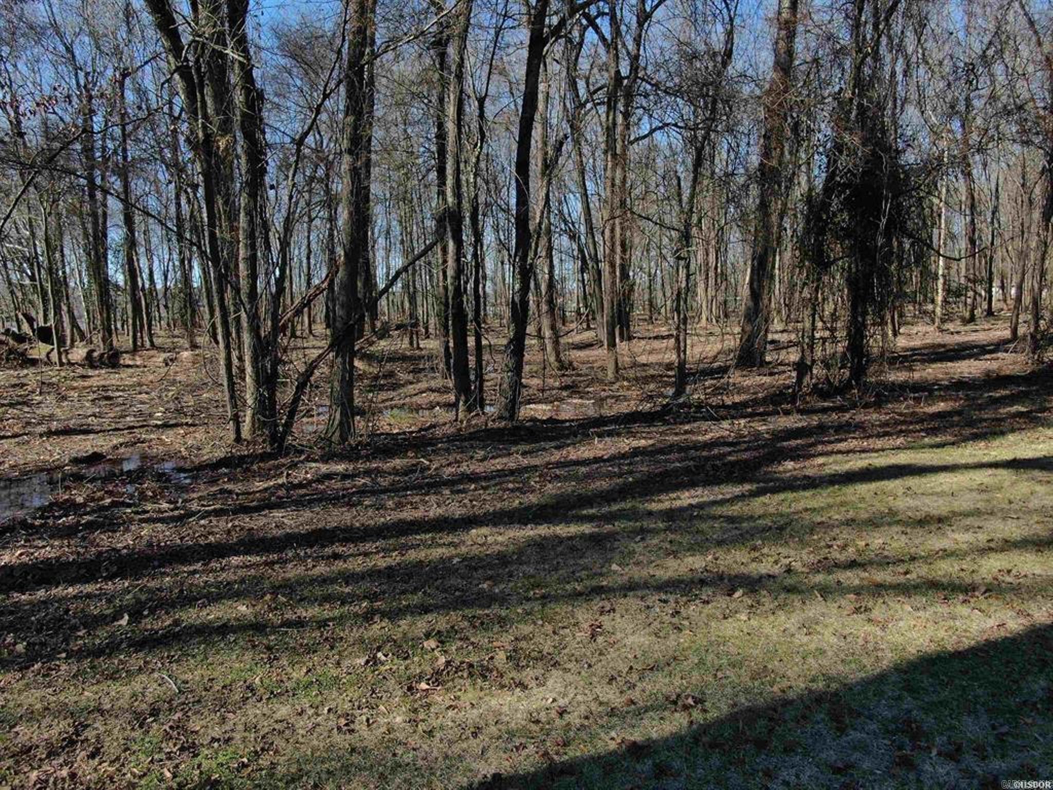 Xxx Rivermist Point Property Photo 35