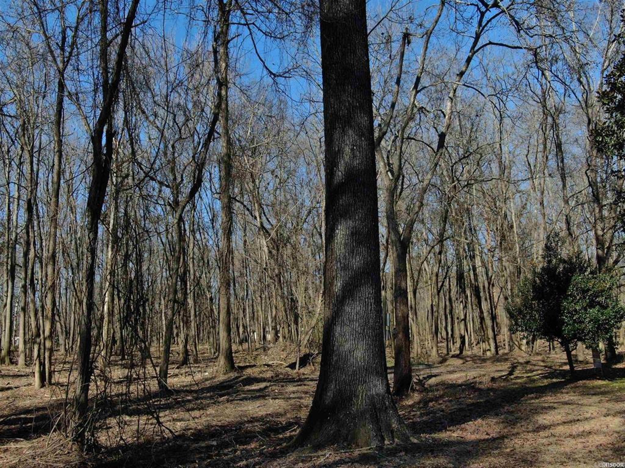 Xxx Rivermist Point Property Photo 36