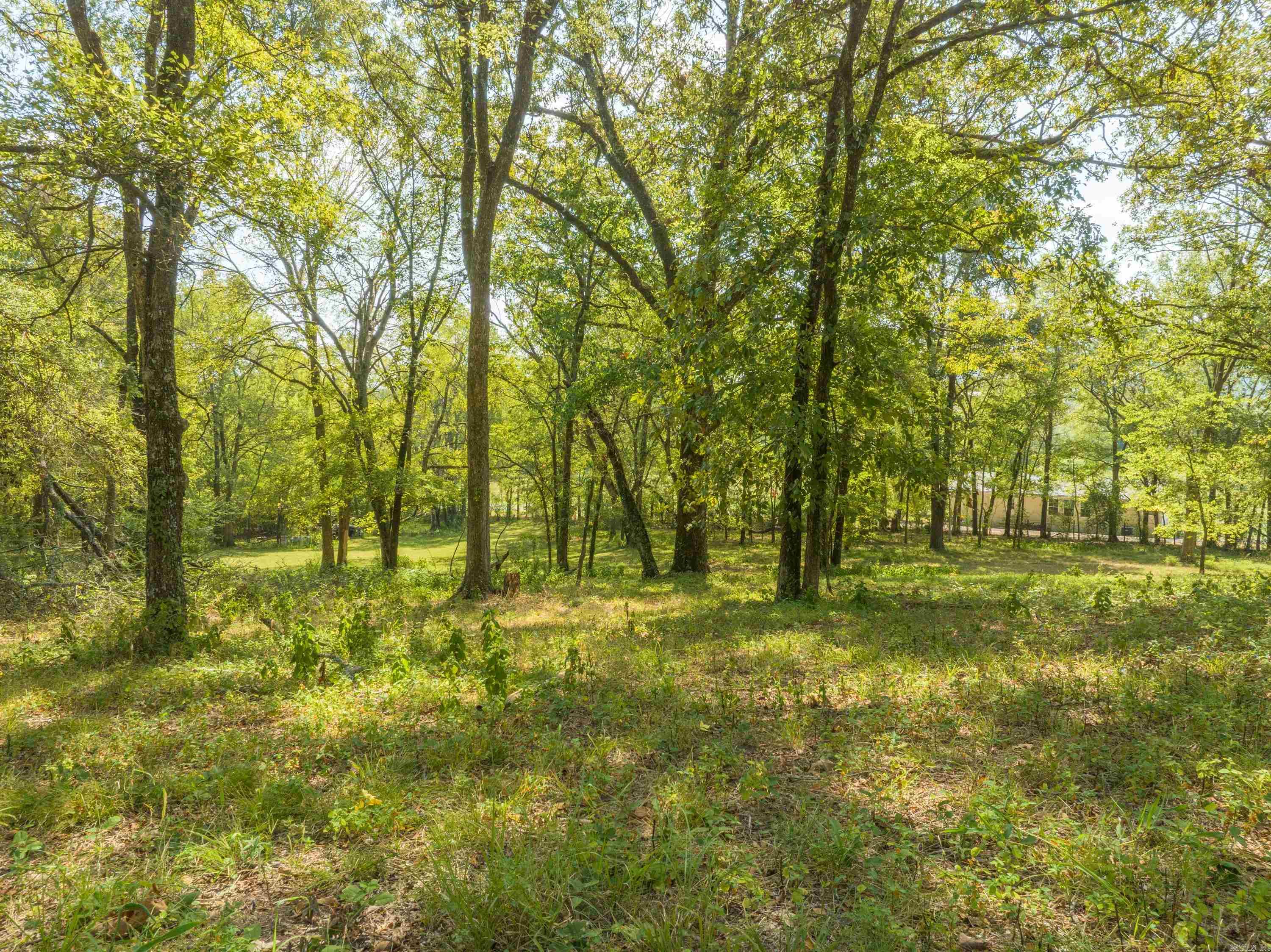 495 Amity Road Property Photo 50