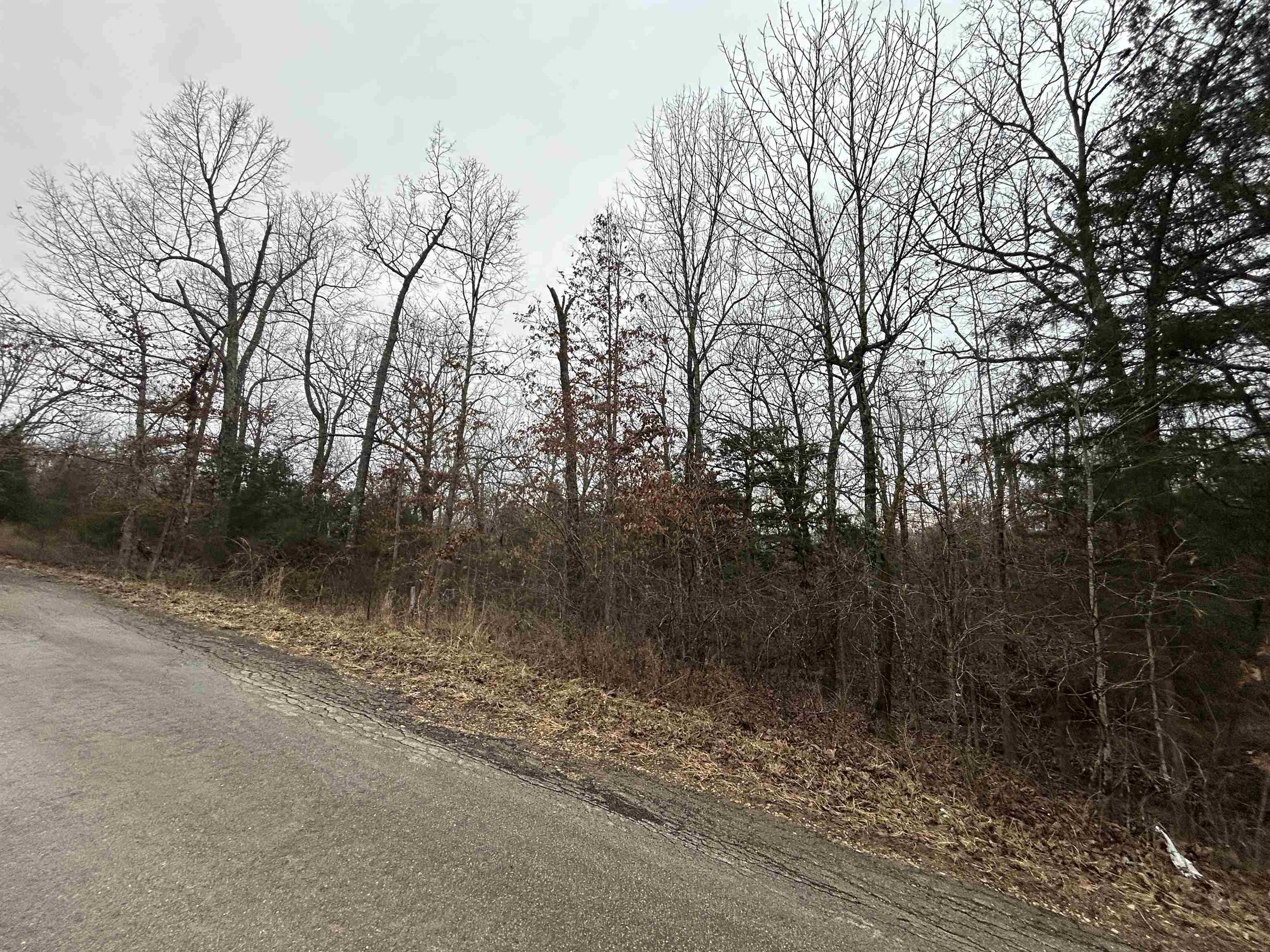 Tbd Wacasassa Drive Property Photo 2