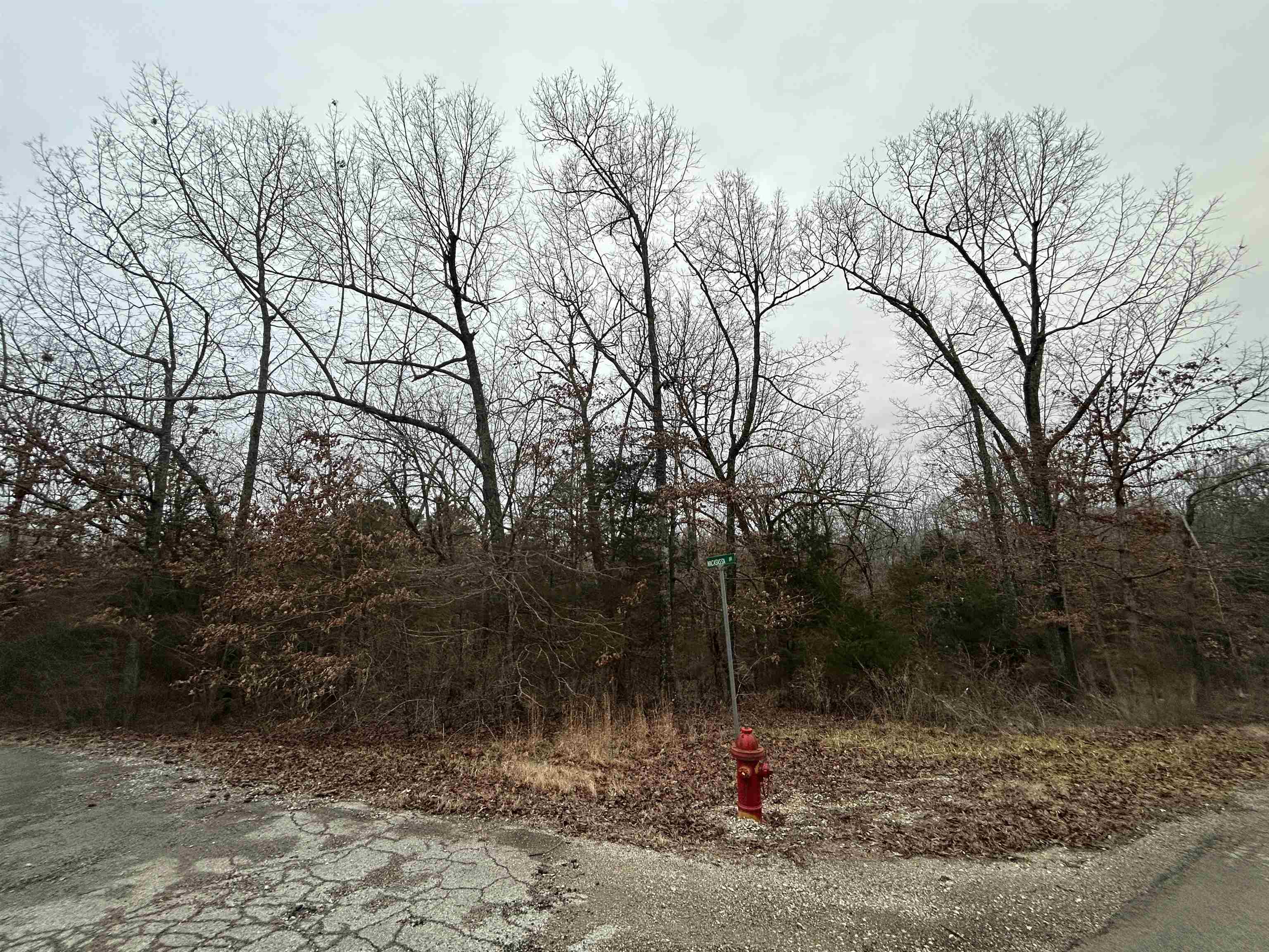 Tbd Wacasassa Drive Property Photo 3