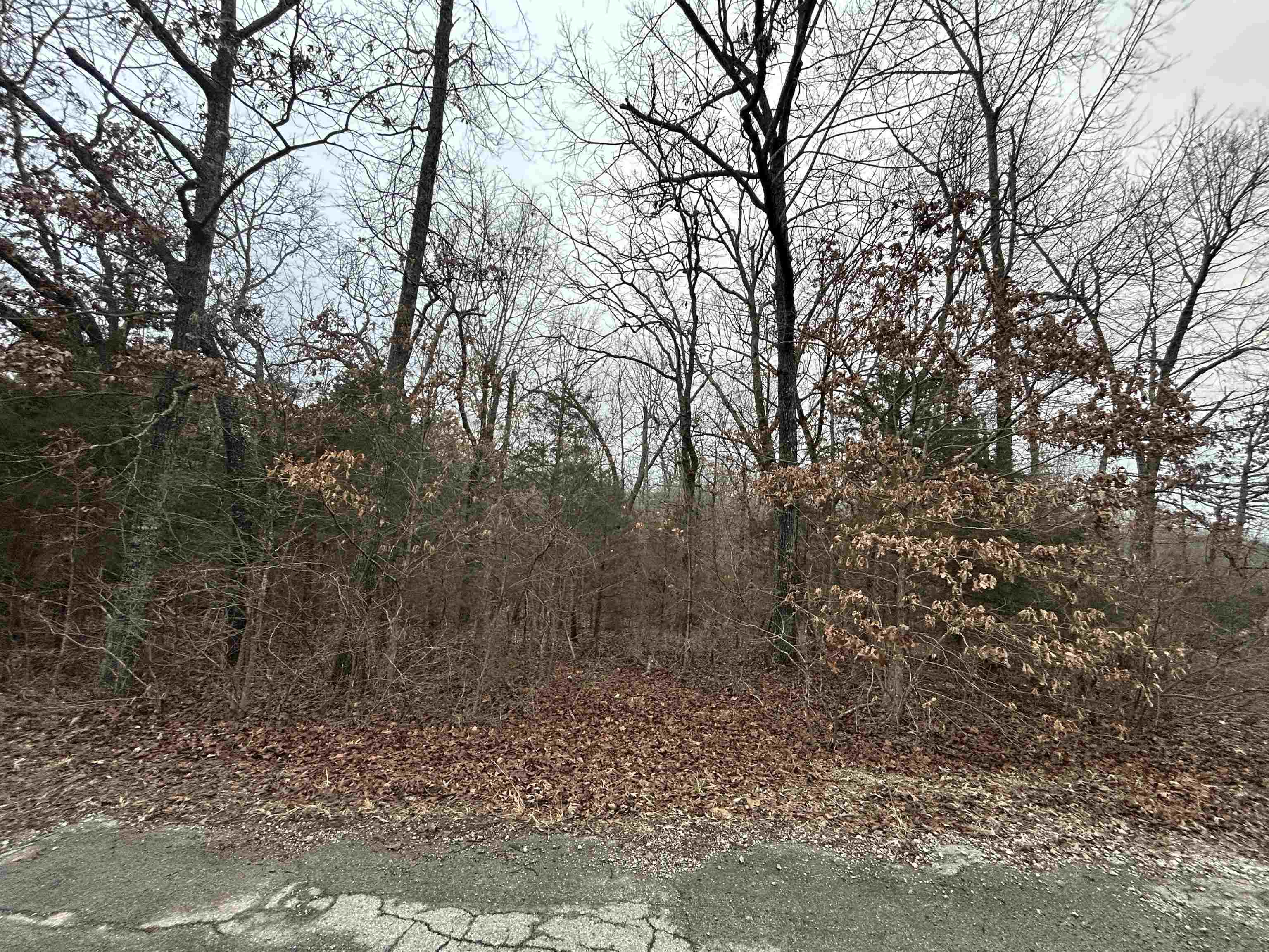 Tbd Wacasassa Drive Property Photo 5