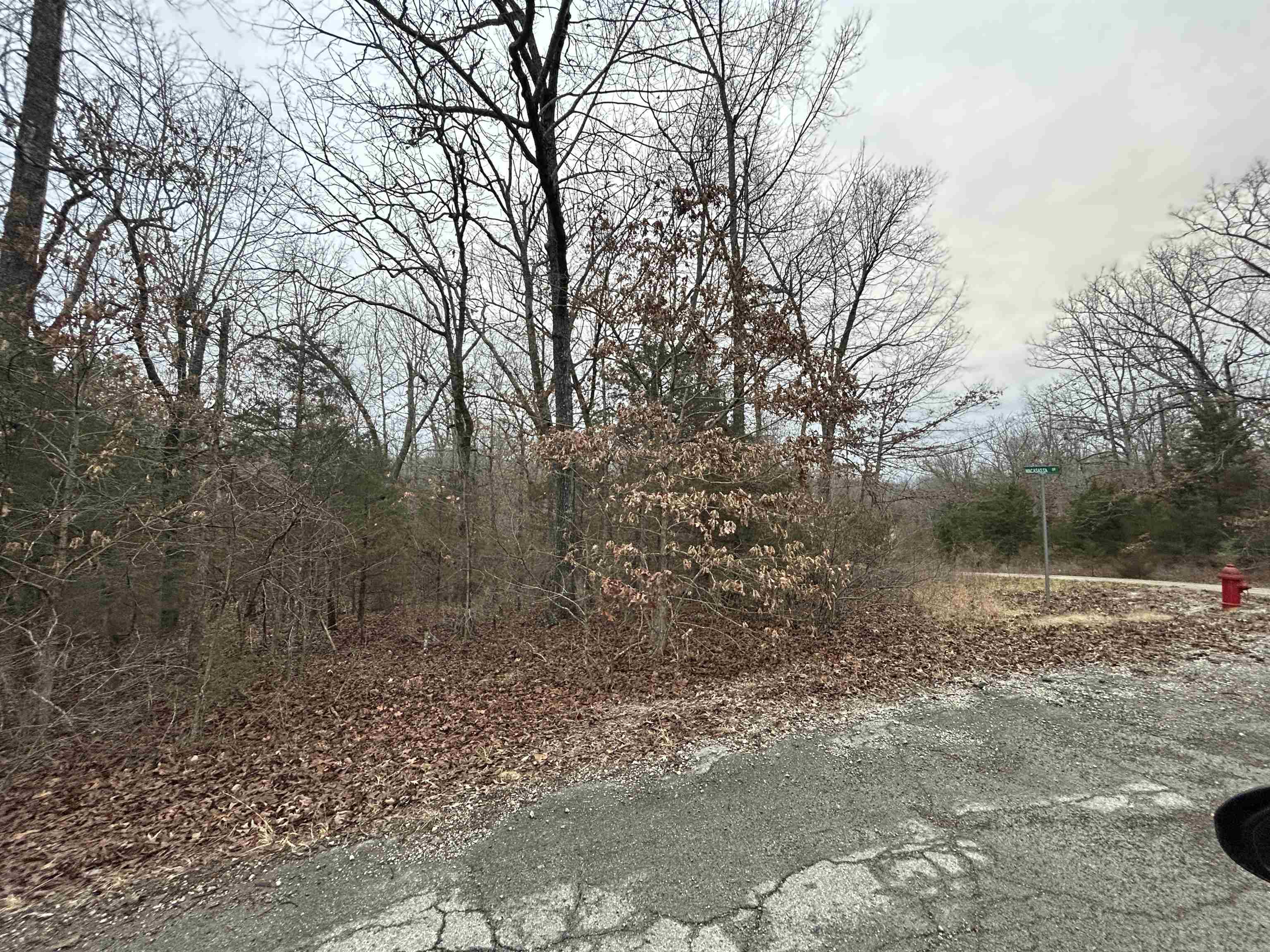 Tbd Wacasassa Drive Property Photo 6