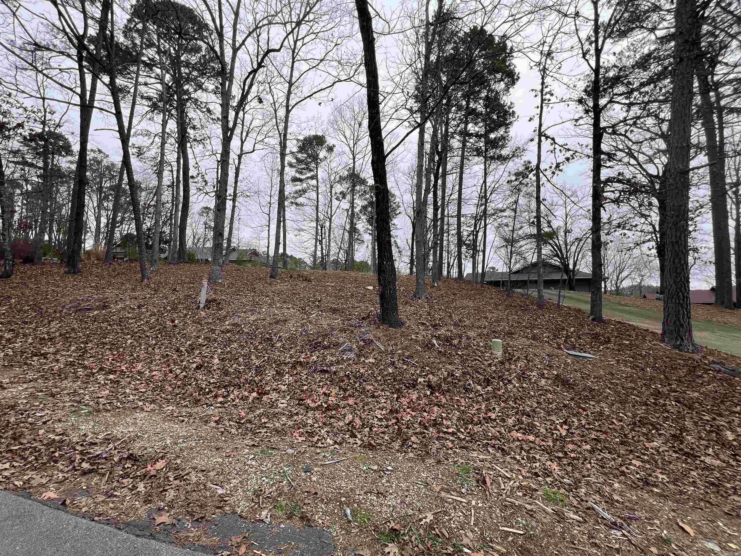5 Gaza Lane Property Photo 3