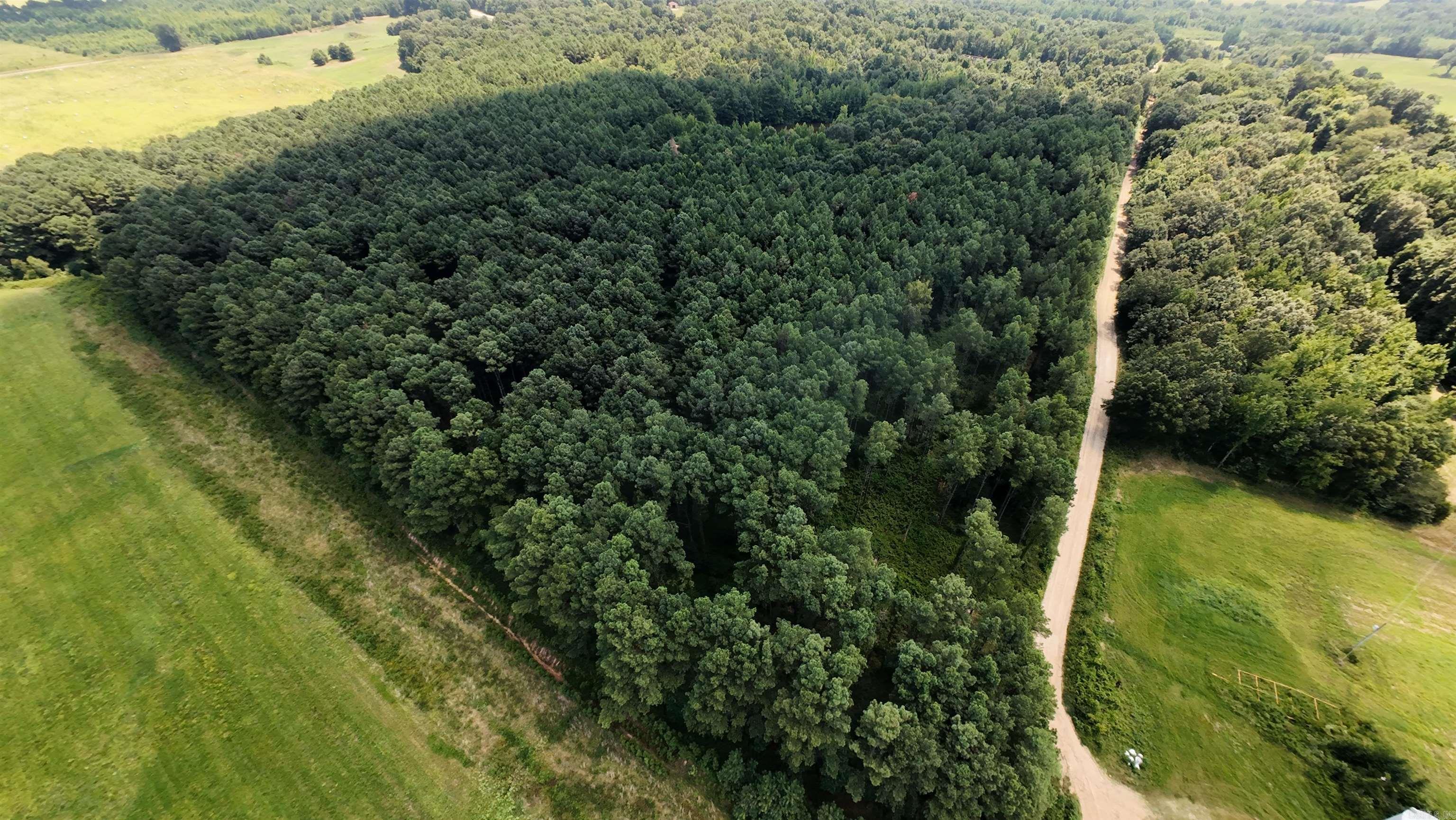 Cr 331 Hwy 62 Property Photo 2